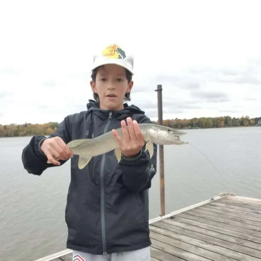 Northern pike caught on Fishbrain