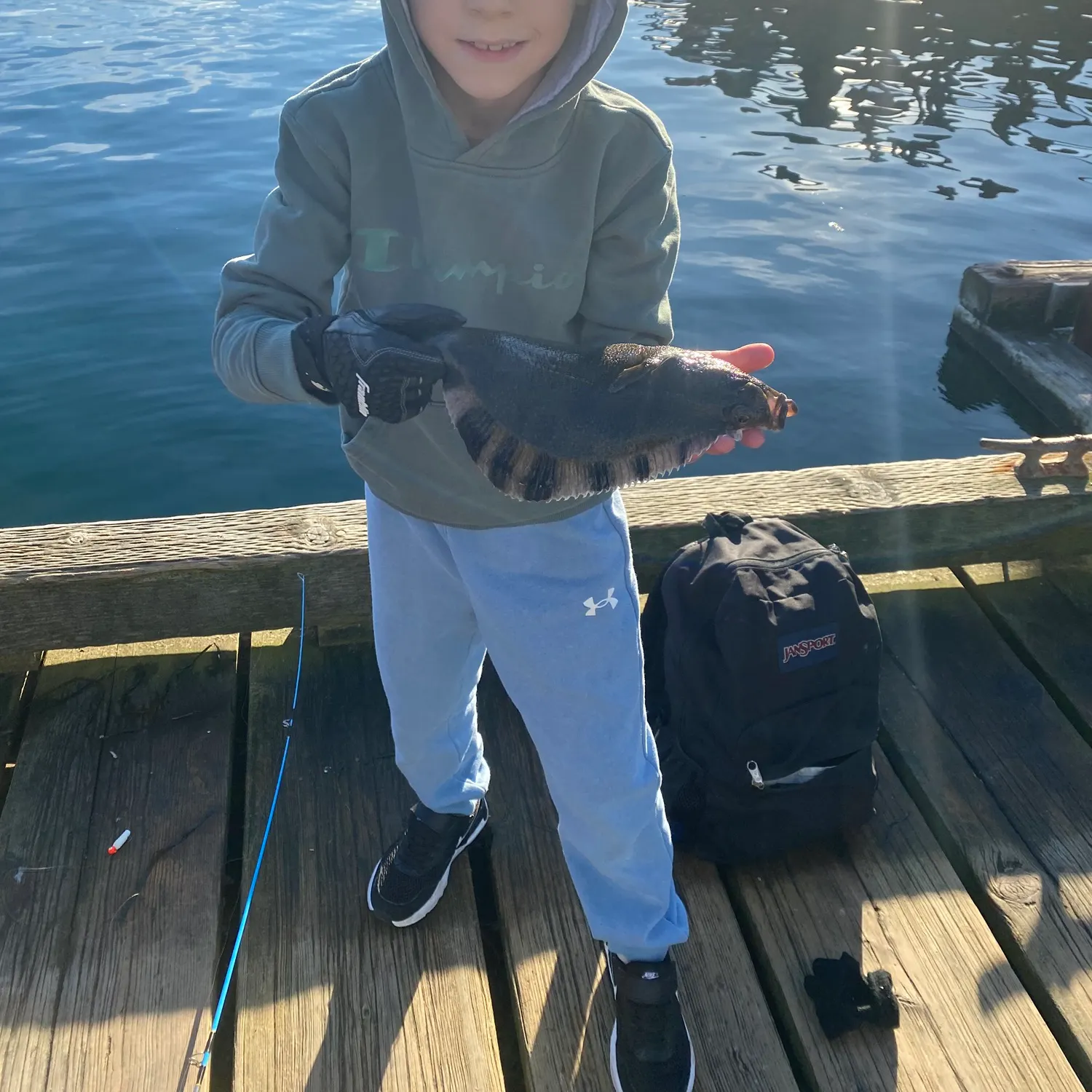 The most recent Starry flounder catches on Fishbrain