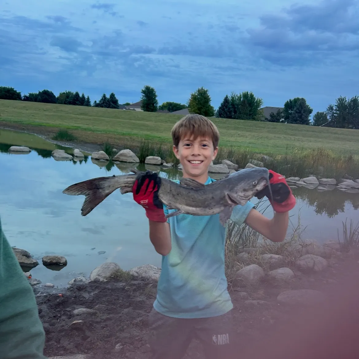 Channel catfish caught on Fishbrain