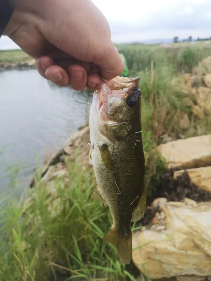 Post image from tpalm4359