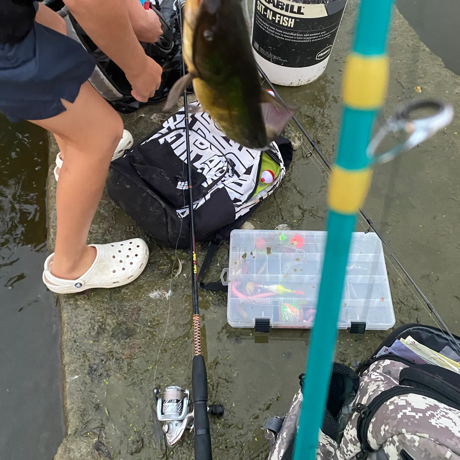 catch