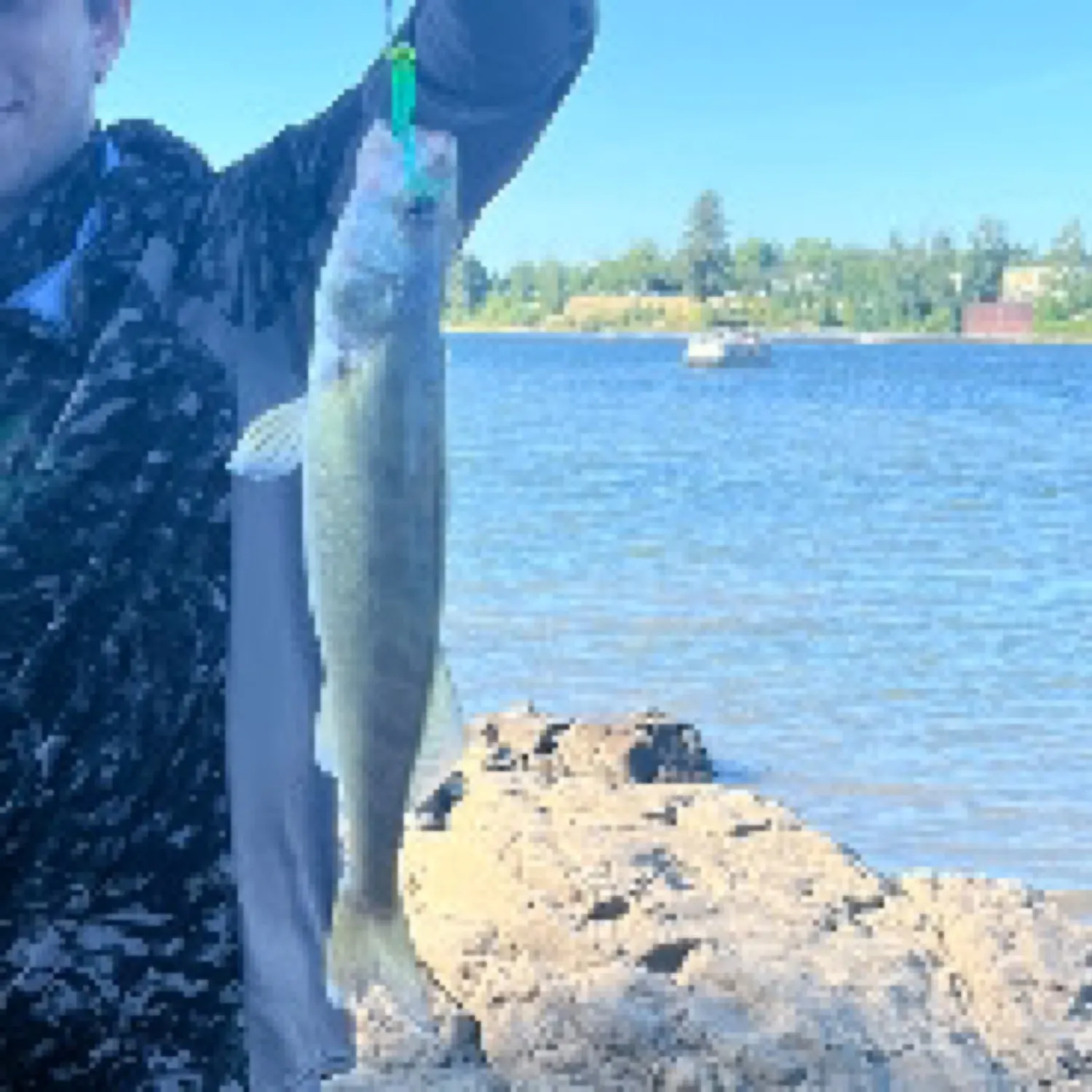 The most recent Walleye catches on Fishbrain