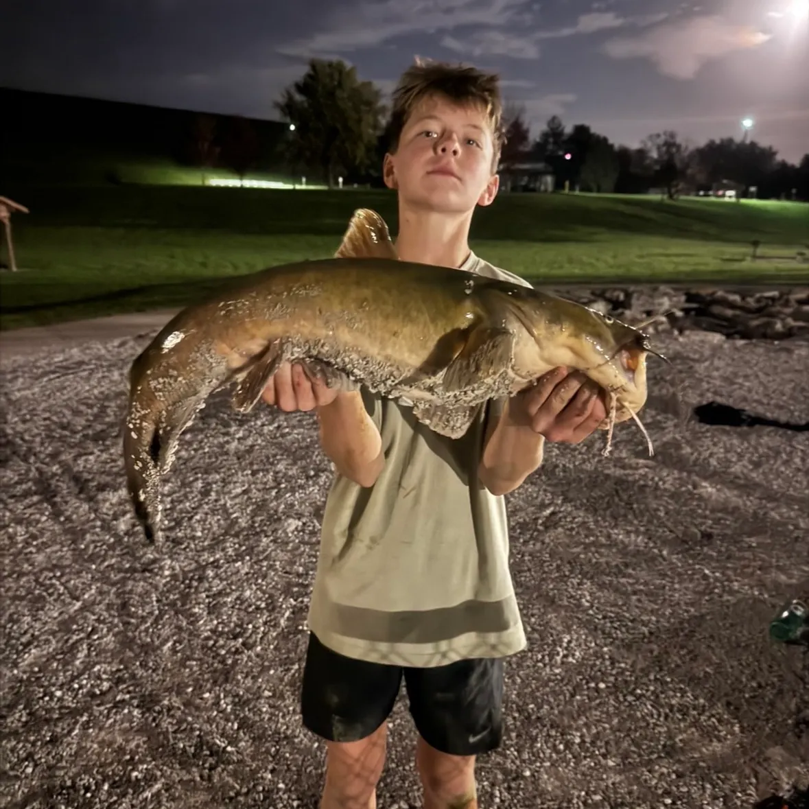 Flathead catfish caught on Fishbrain