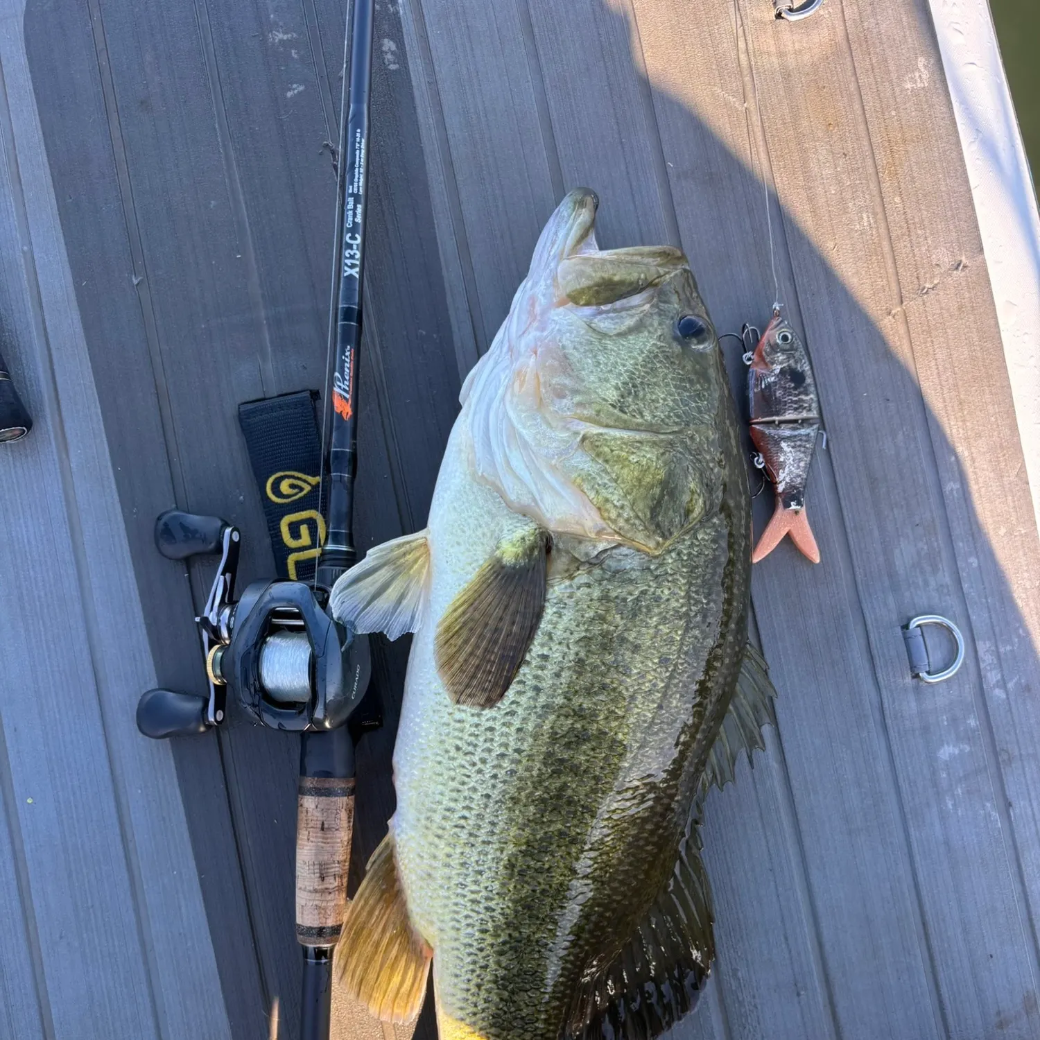 Largemouth bass caught on Fishbrain