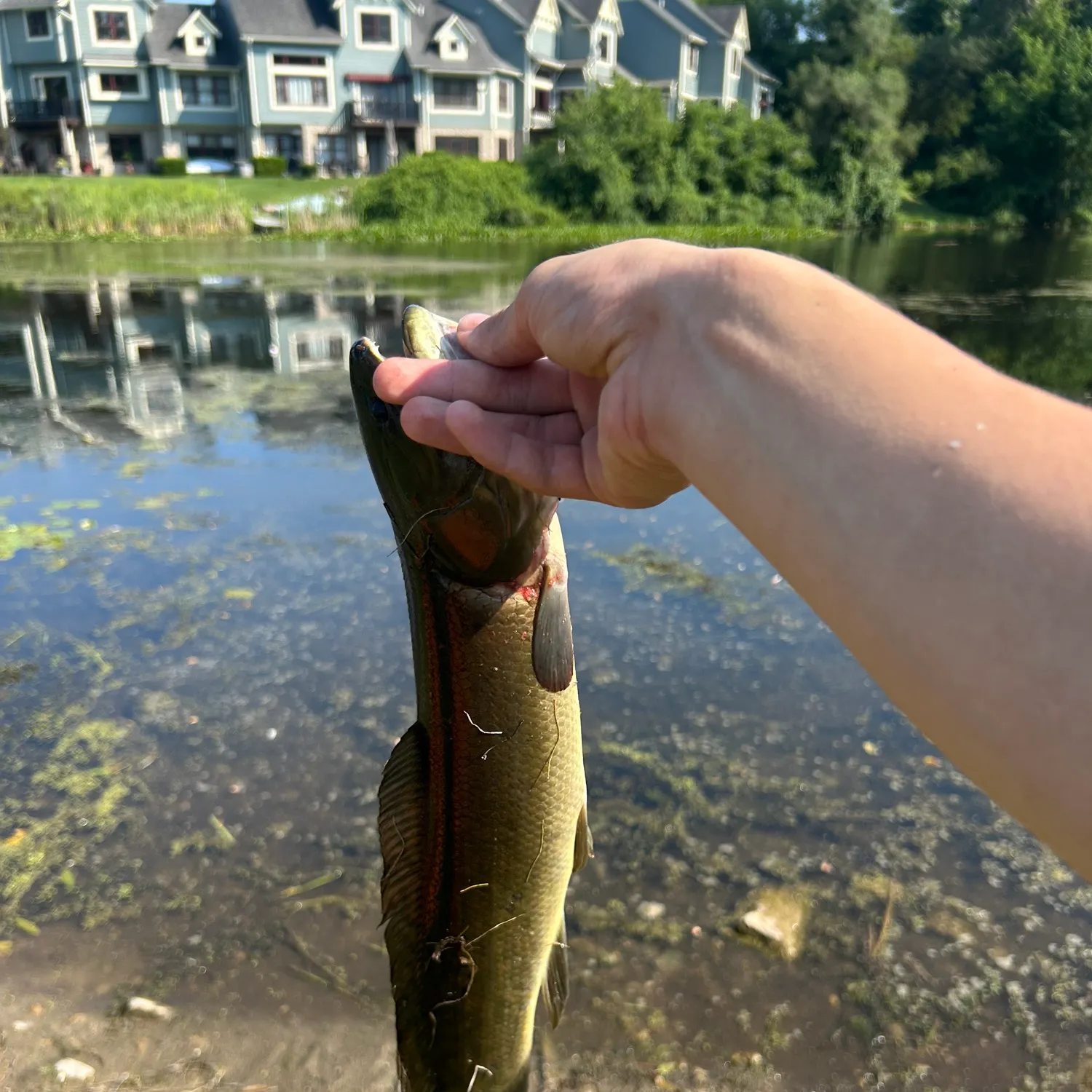 catch