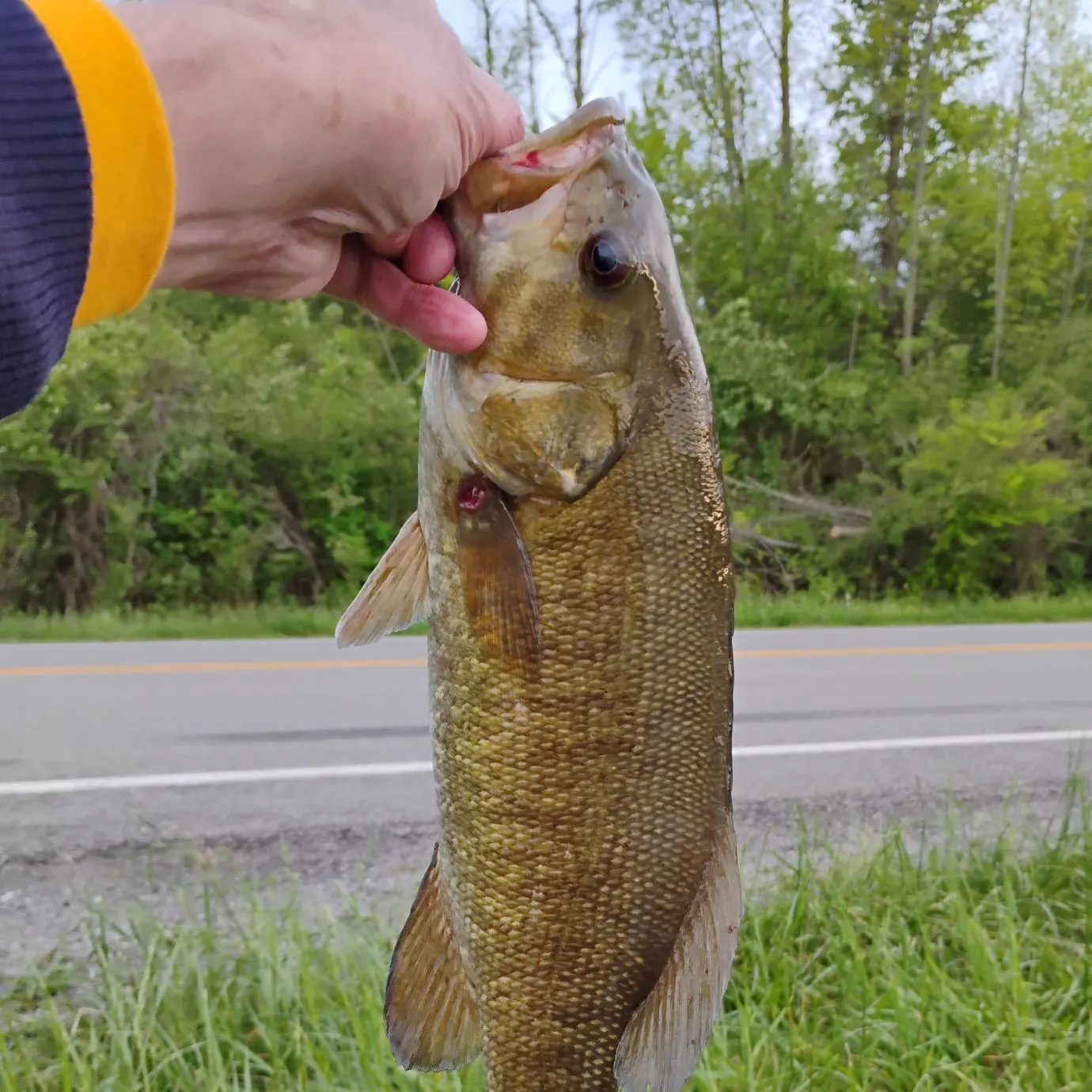 catch
