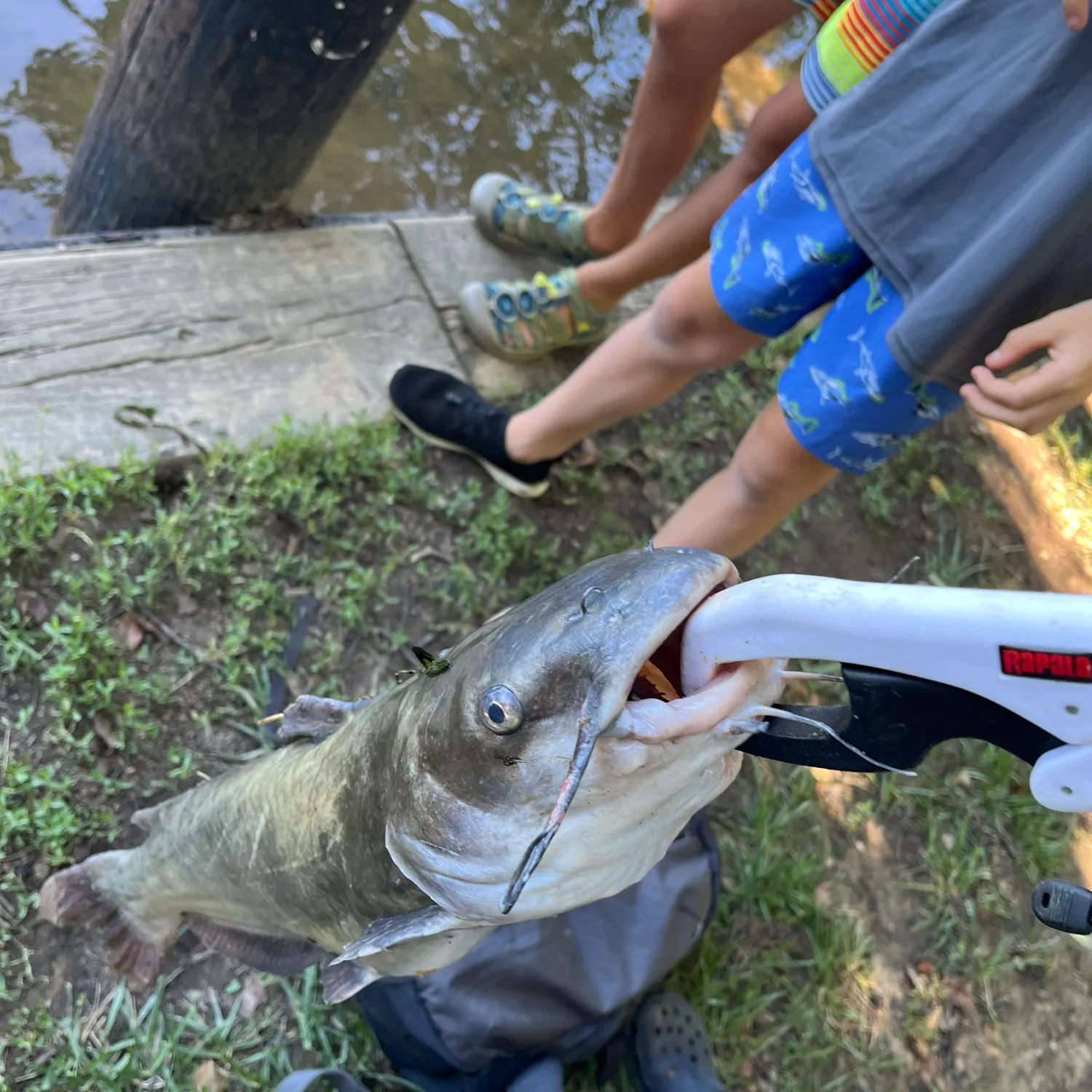 catch