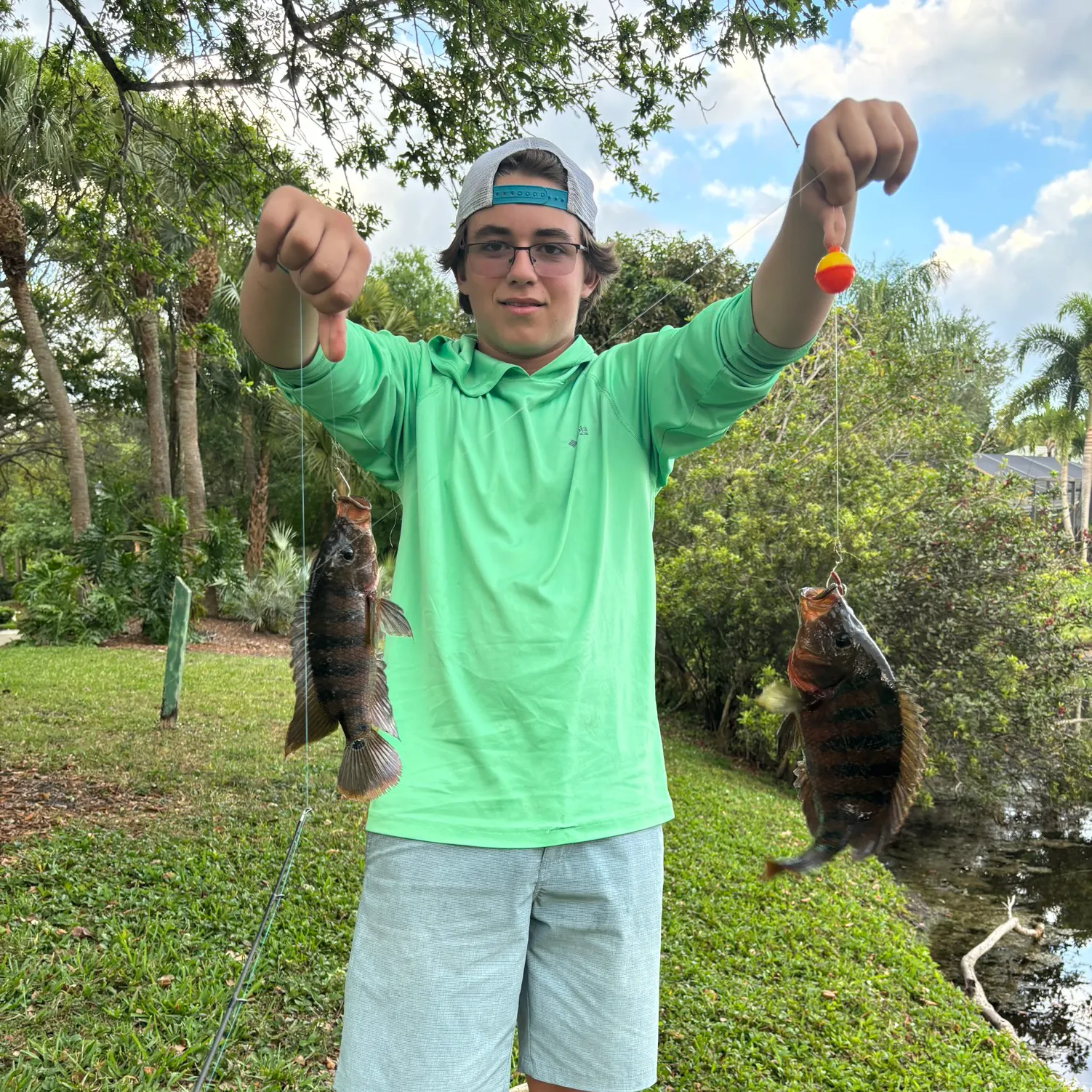 recently logged catches