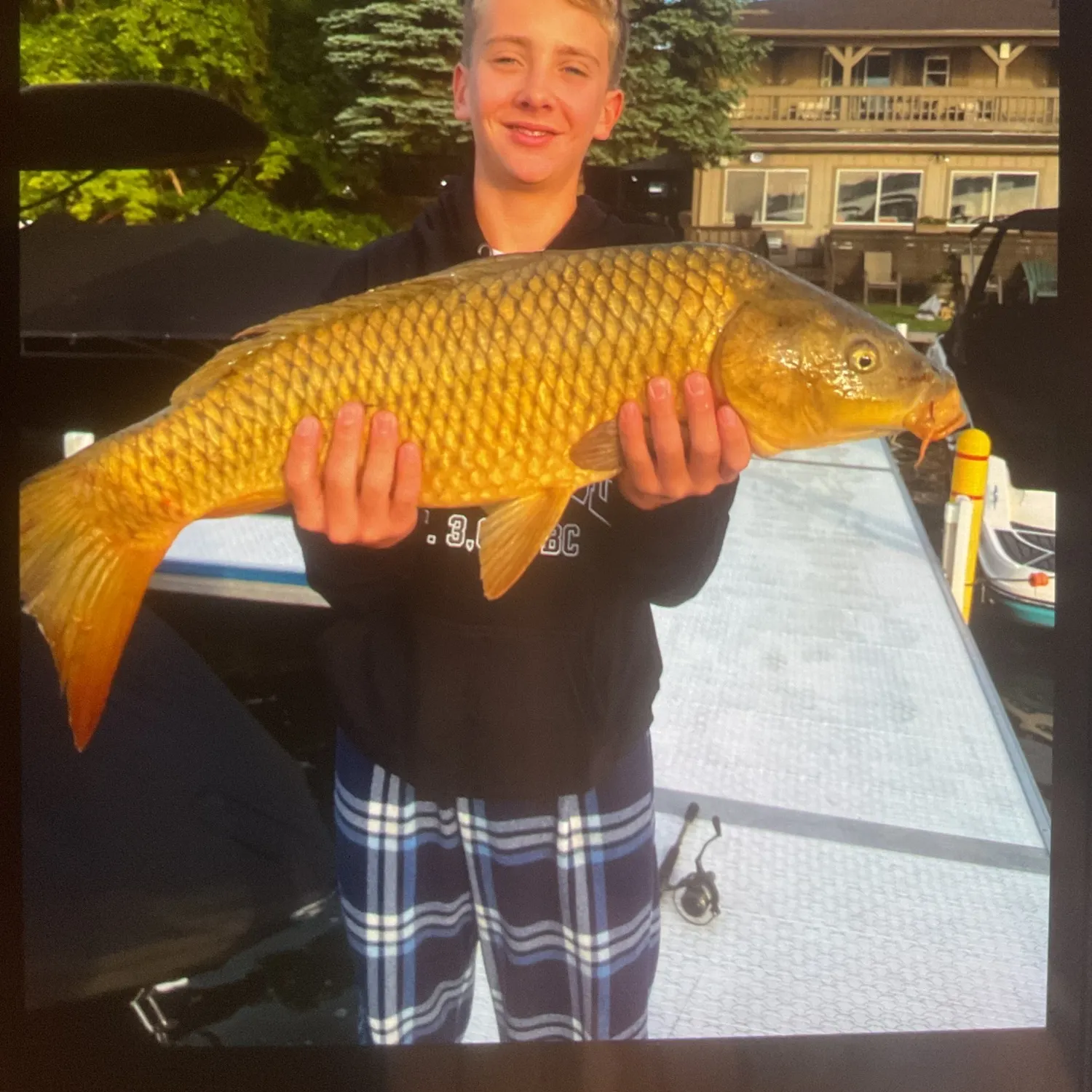 Common carp caught on Fishbrain