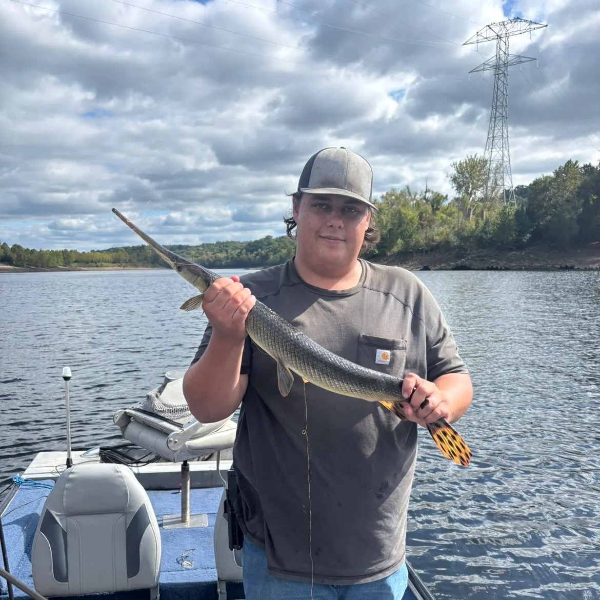 Longnose gar caught on Fishbrain