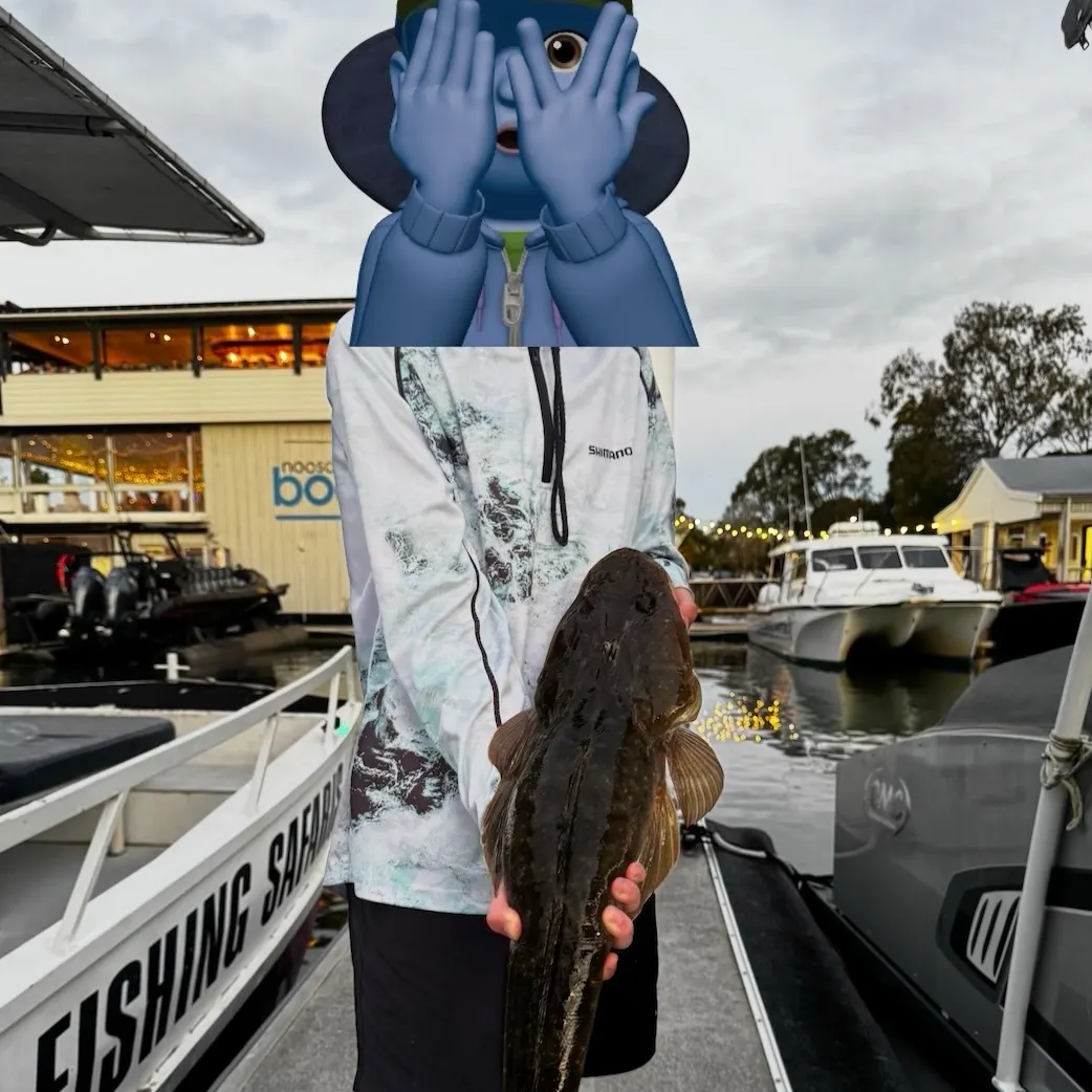 Dusky flathead caught on Fishbrain
