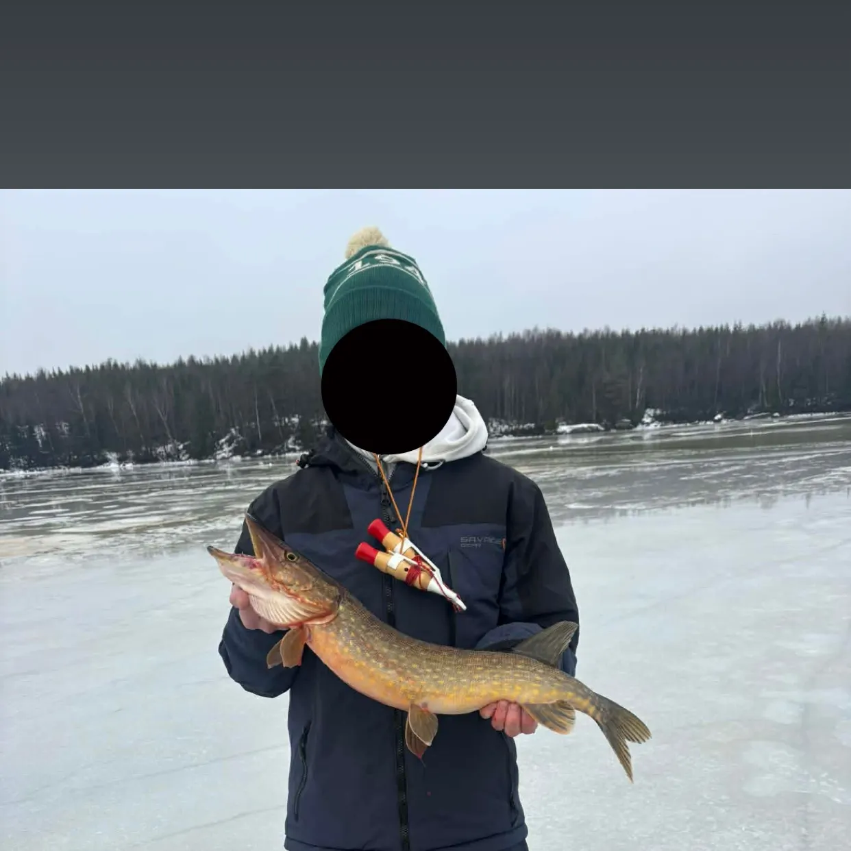 The most recent Northern pike catches on Fishbrain