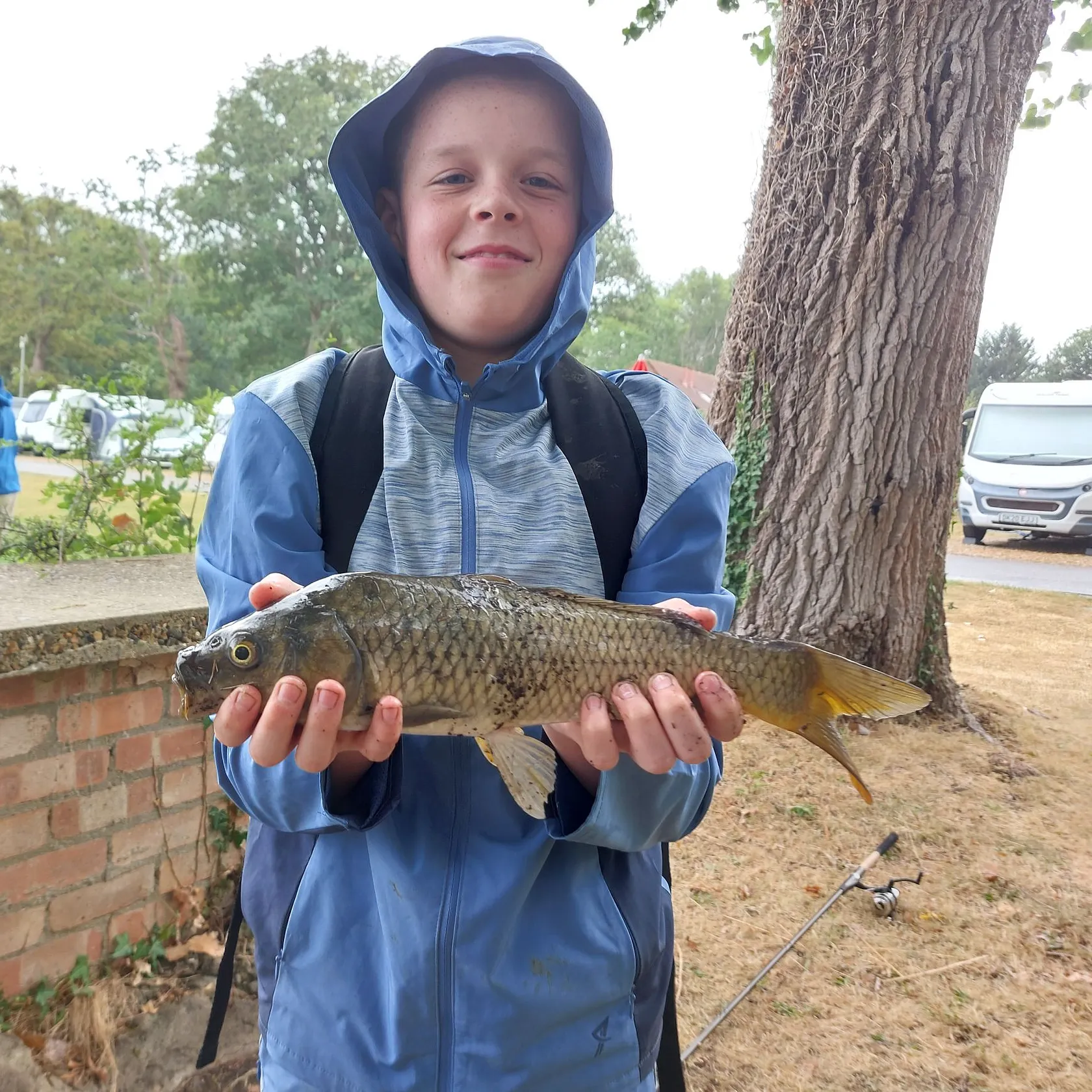 Common carp caught on Fishbrain