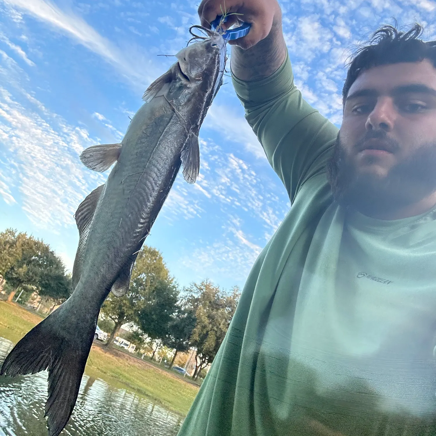Channel catfish caught on Fishbrain