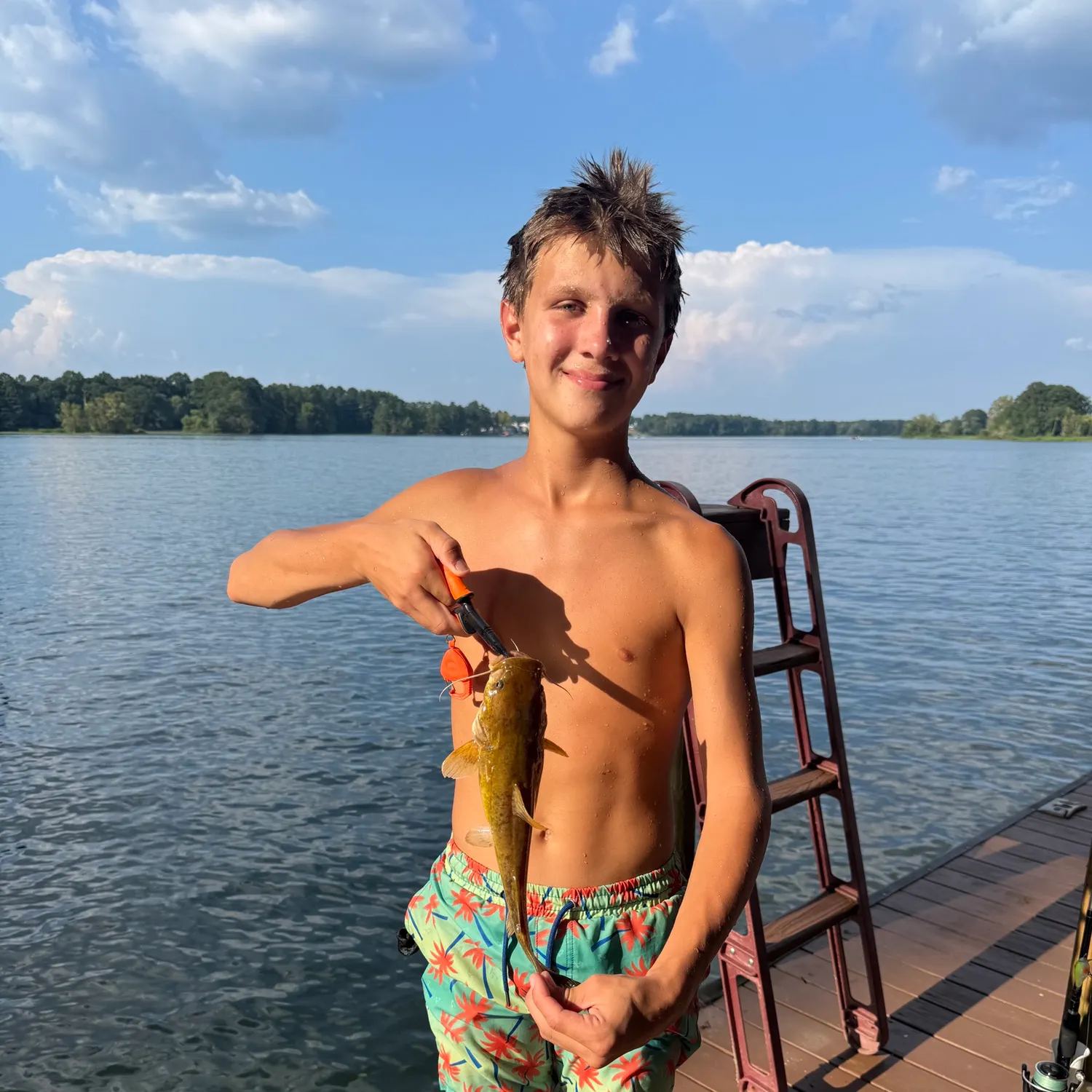 Flathead catfish caught on Fishbrain