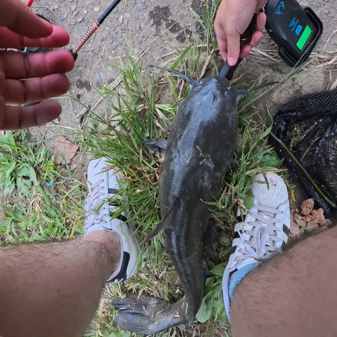 catch