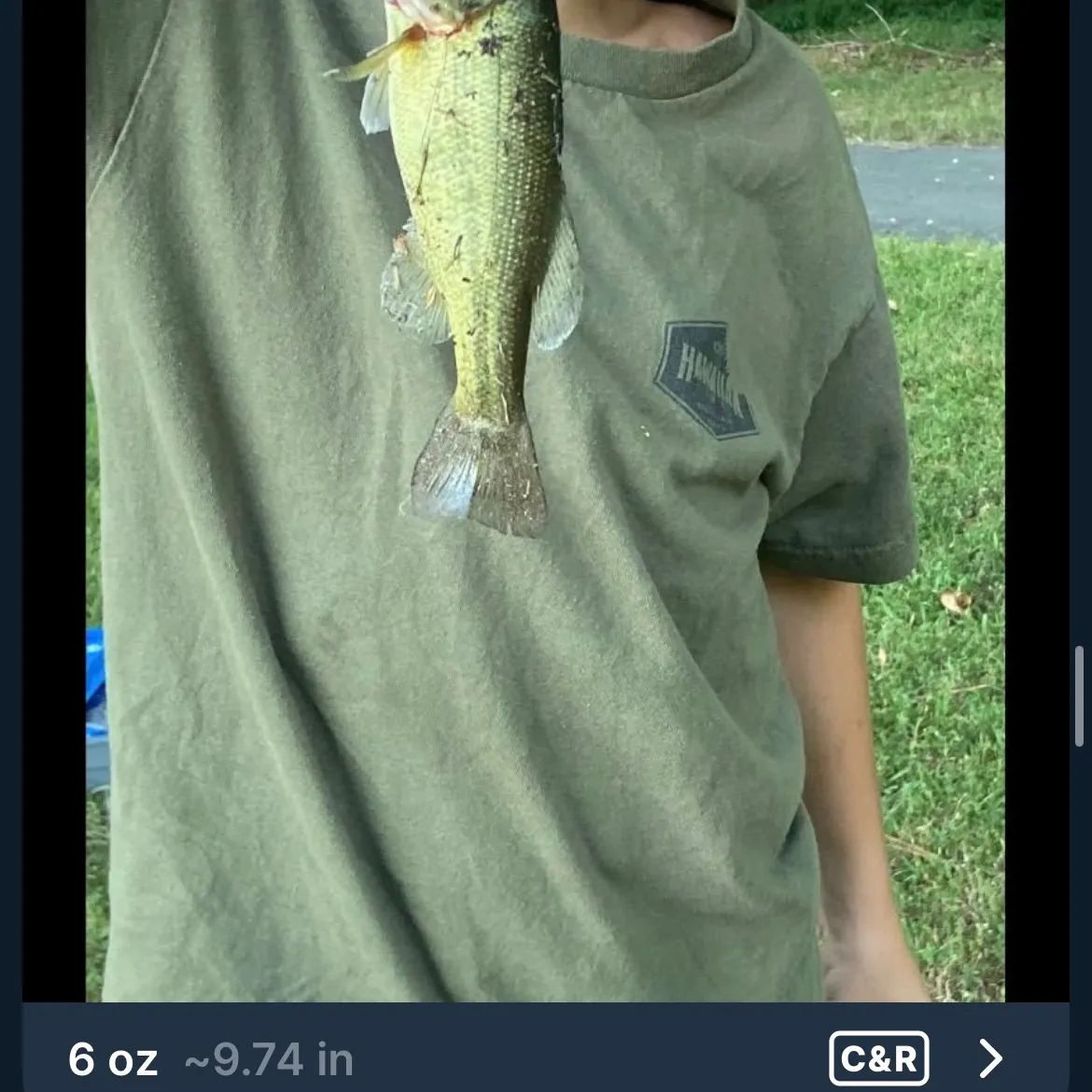 recently logged catches