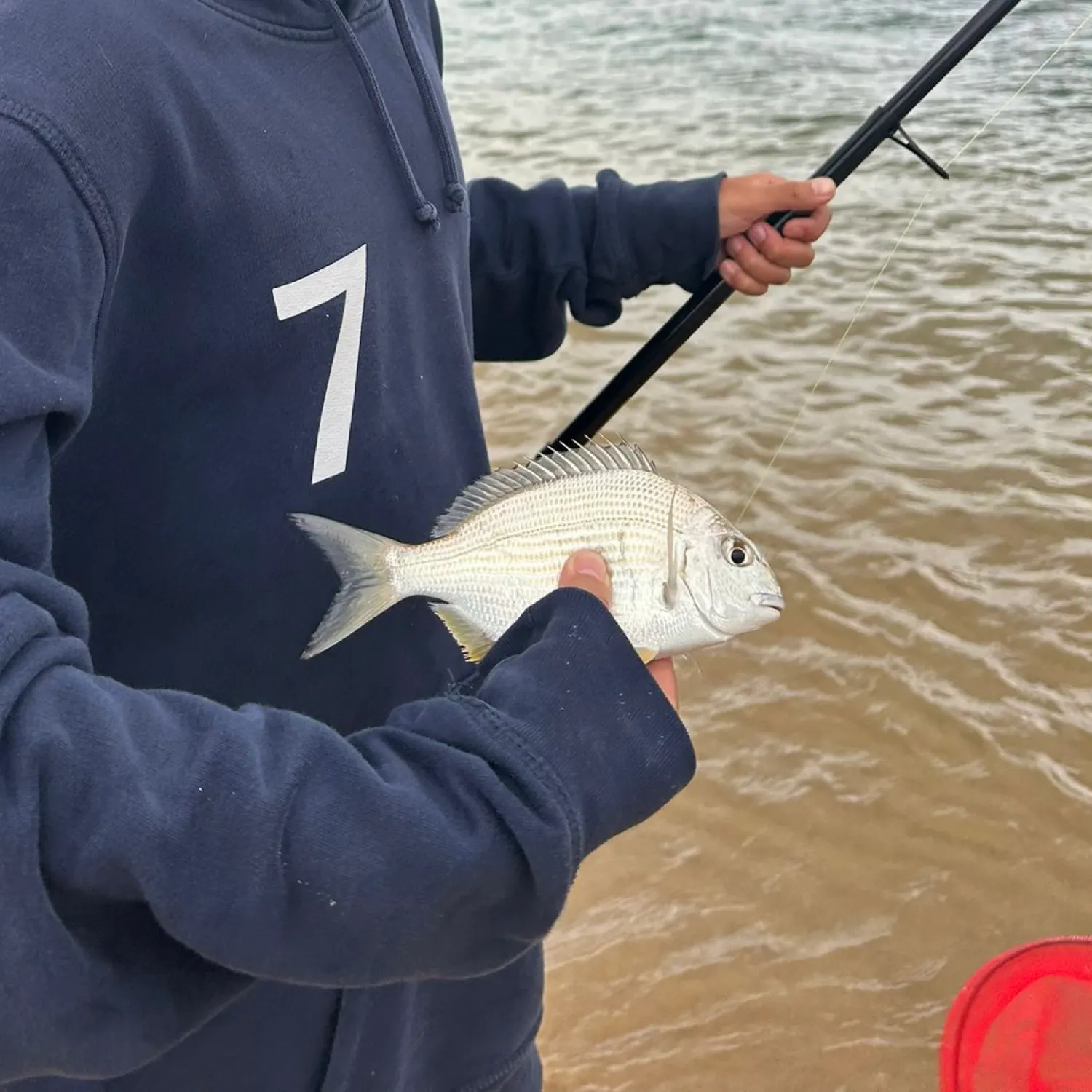 The most popular recent Goldlined seabream catch on Fishbrain