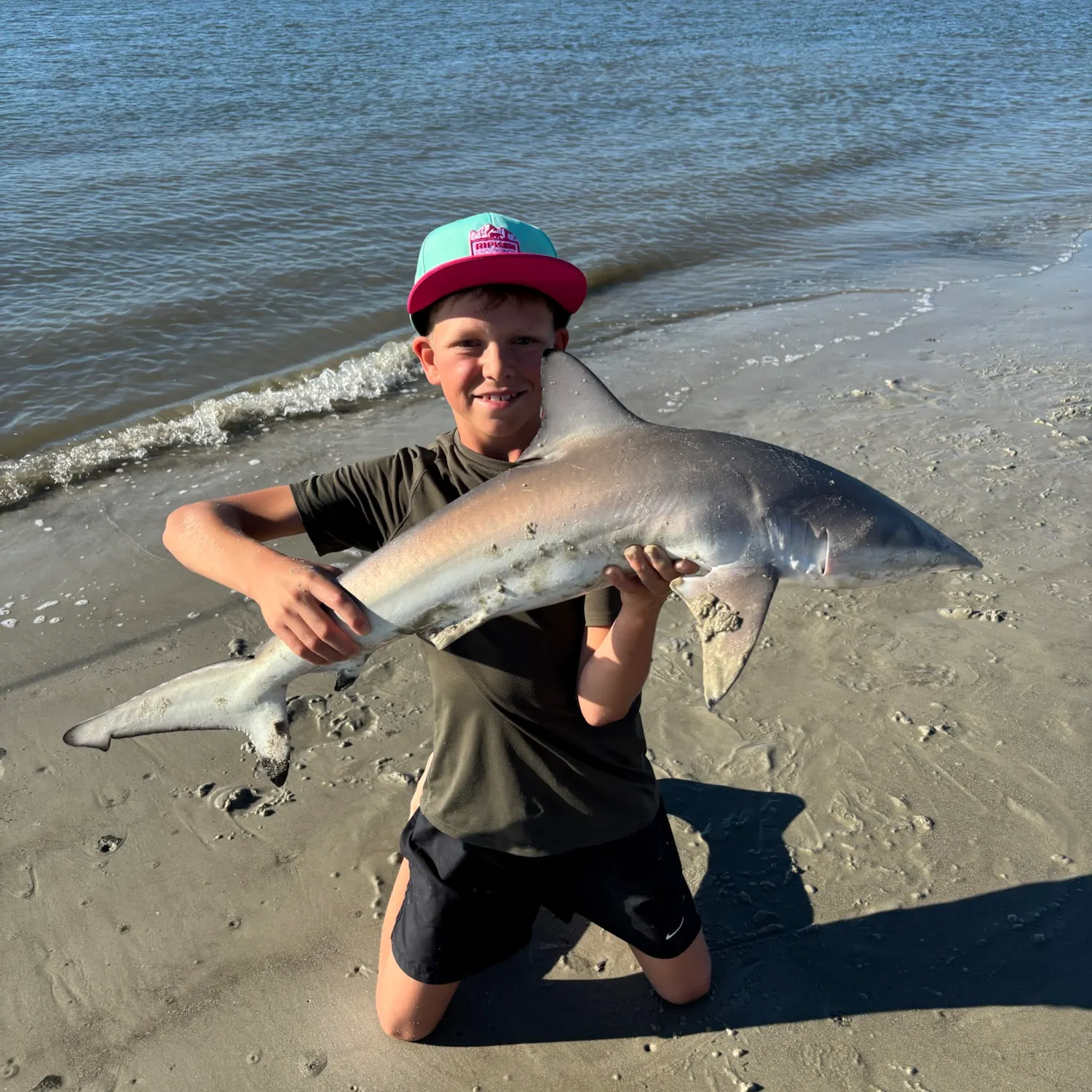 Spinner shark caught on Fishbrain