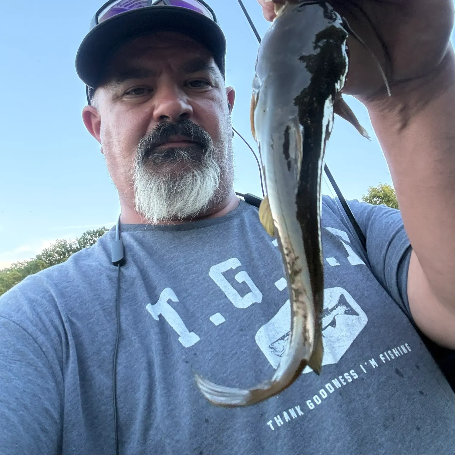 Yellow bullhead caught on Fishbrain
