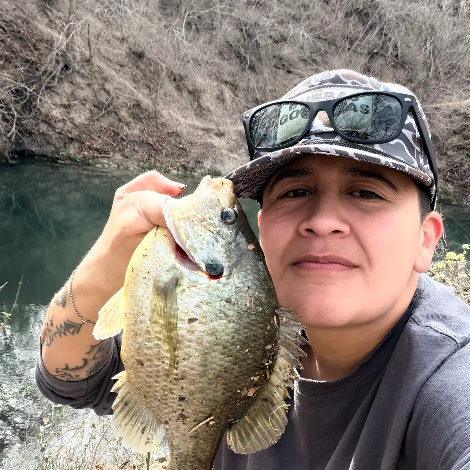 The most recent Redear sunfish catches on Fishbrain