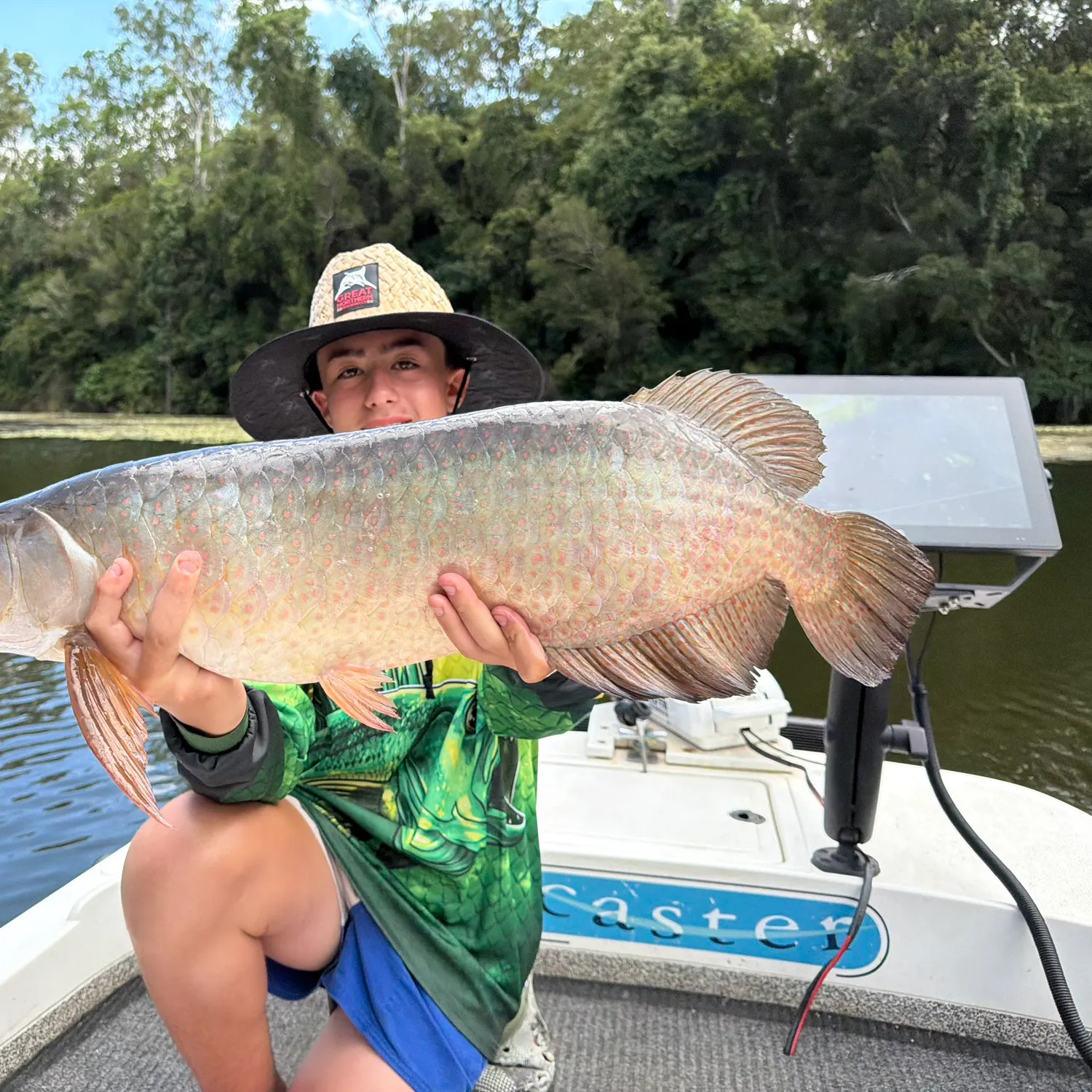 The most recent Spotted bonytongue catches on Fishbrain