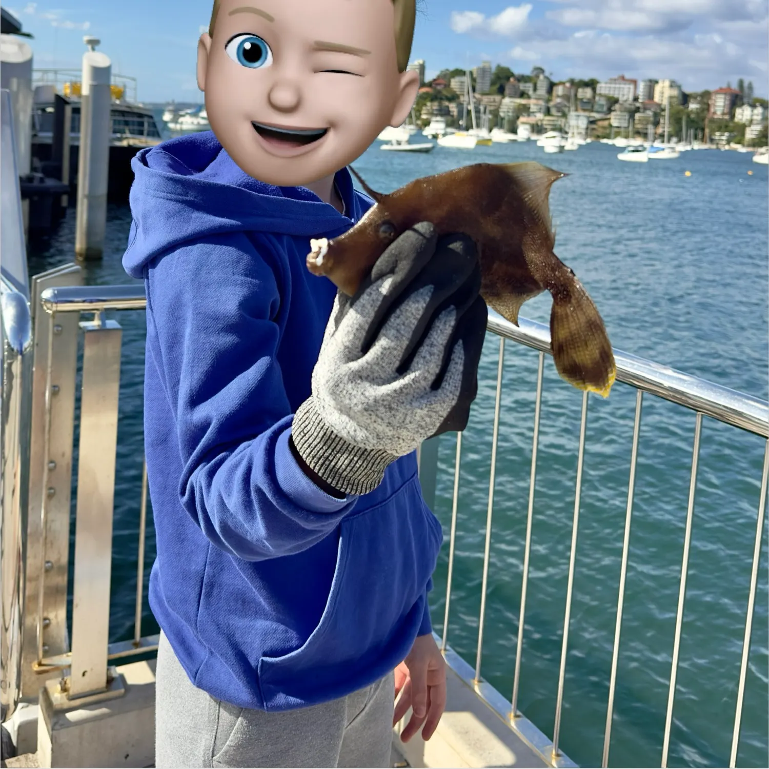 The most recent Fan-bellied leatherjacket catches on Fishbrain