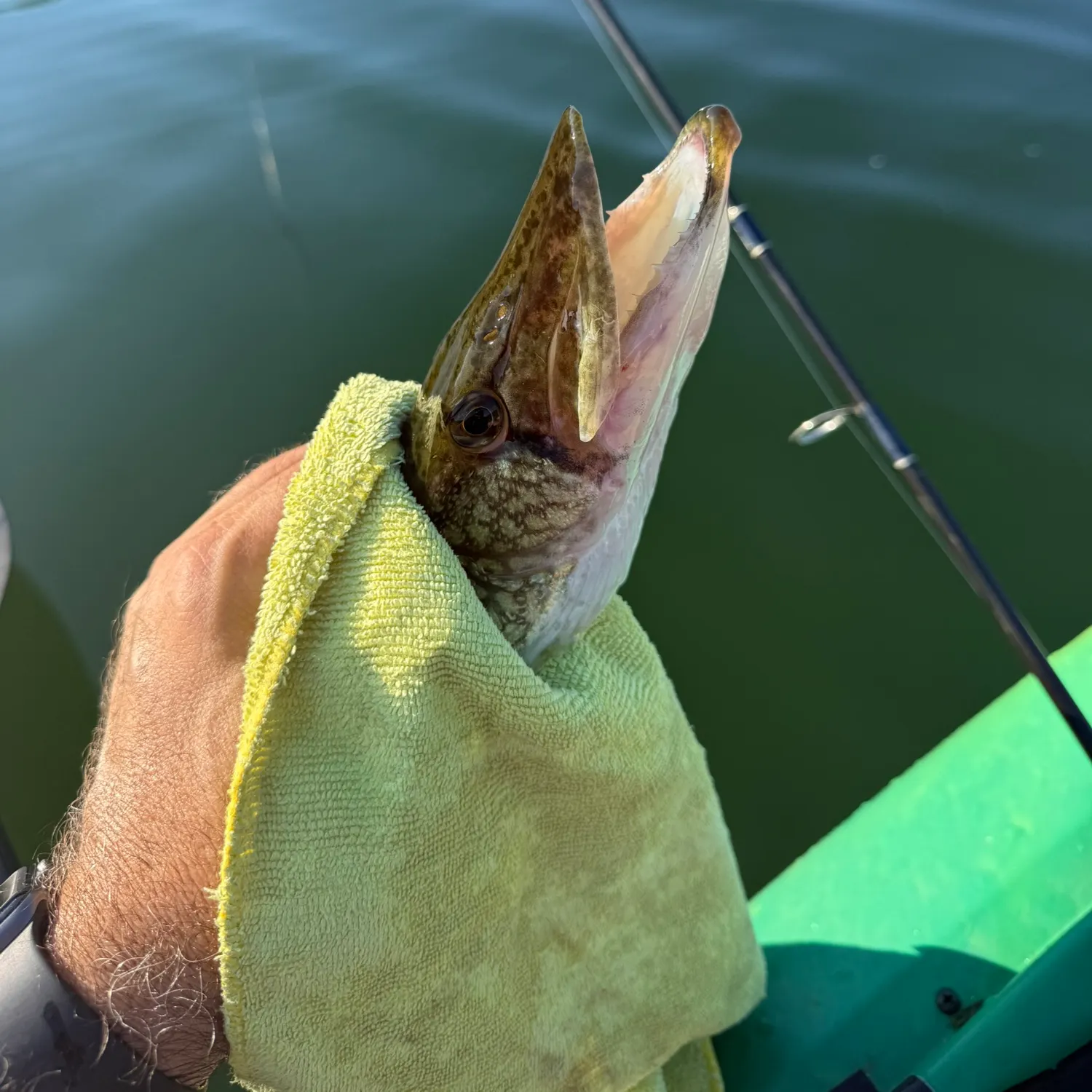 catch