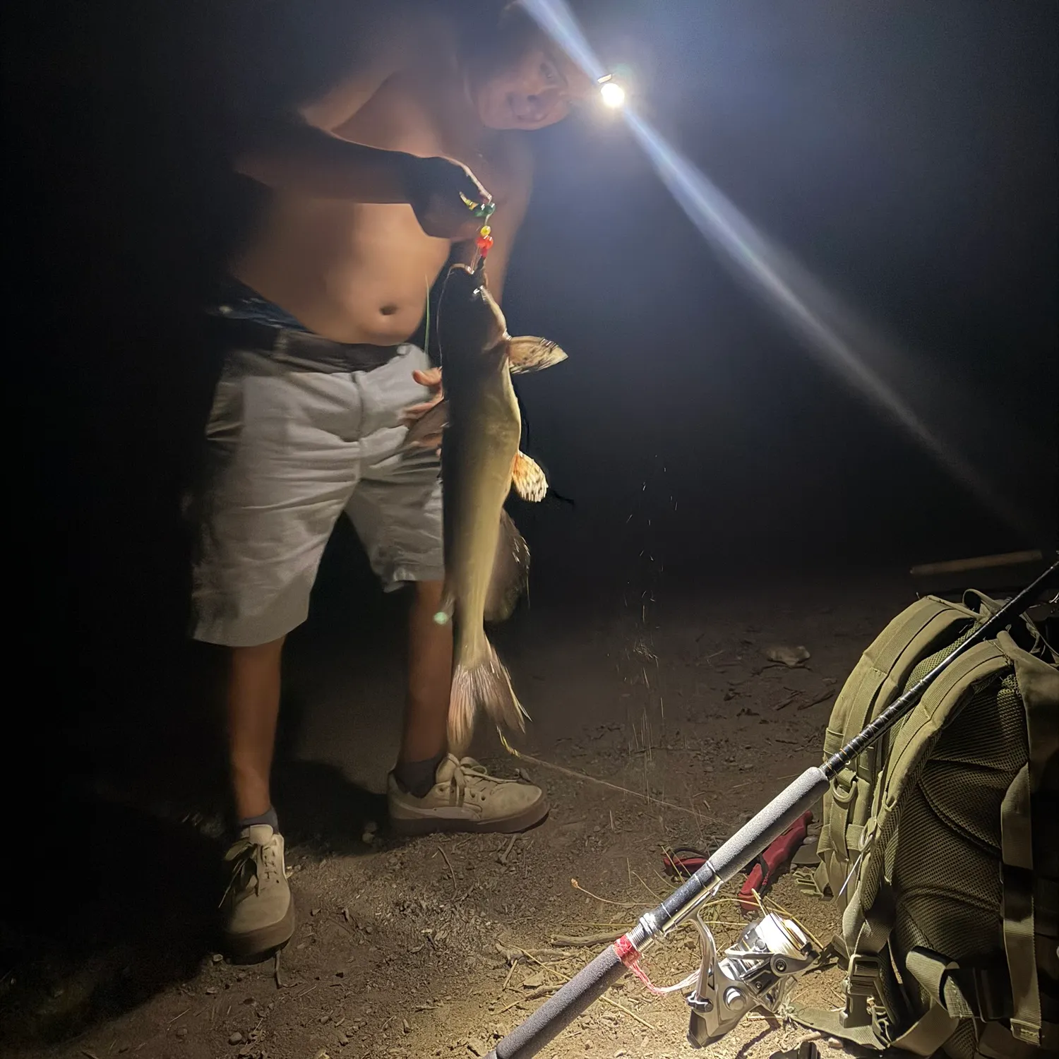 Flathead catfish caught on Fishbrain