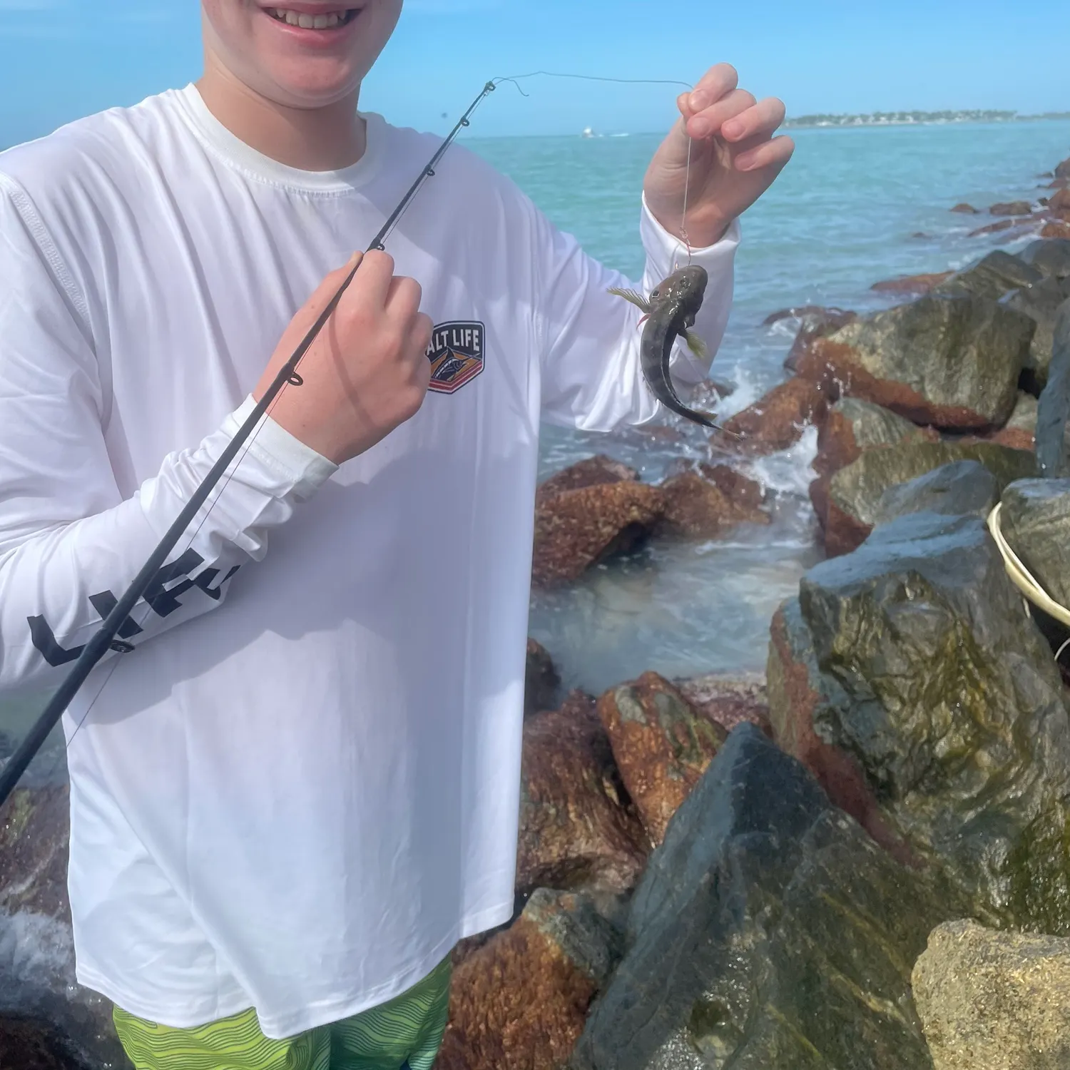 The most recent East Atlantic redlip blenny catches on Fishbrain