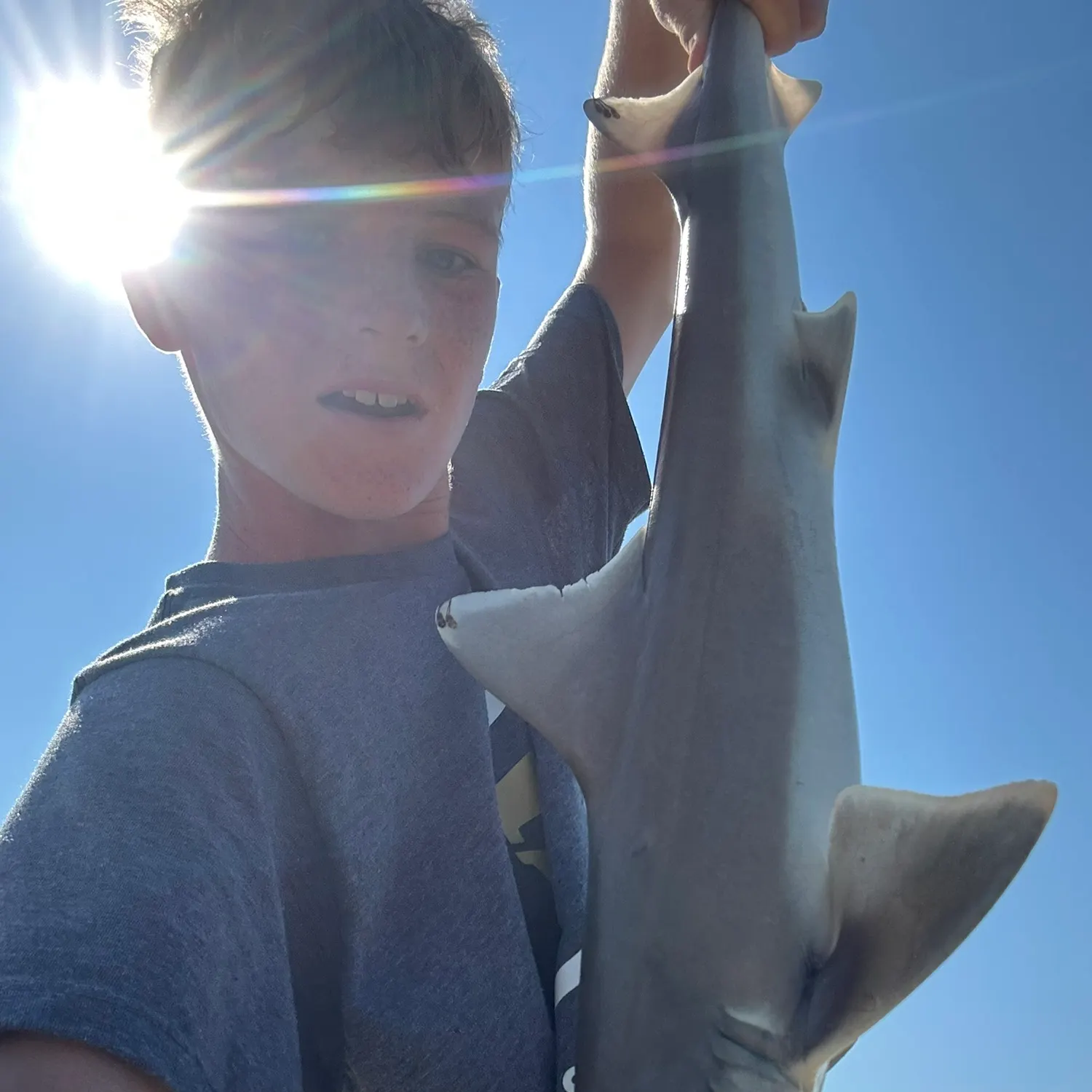 Dusky smooth-hound caught on Fishbrain