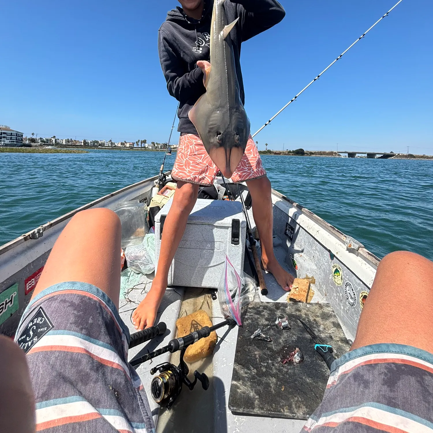 Pacific shovelnose guitarfish caught on Fishbrain
