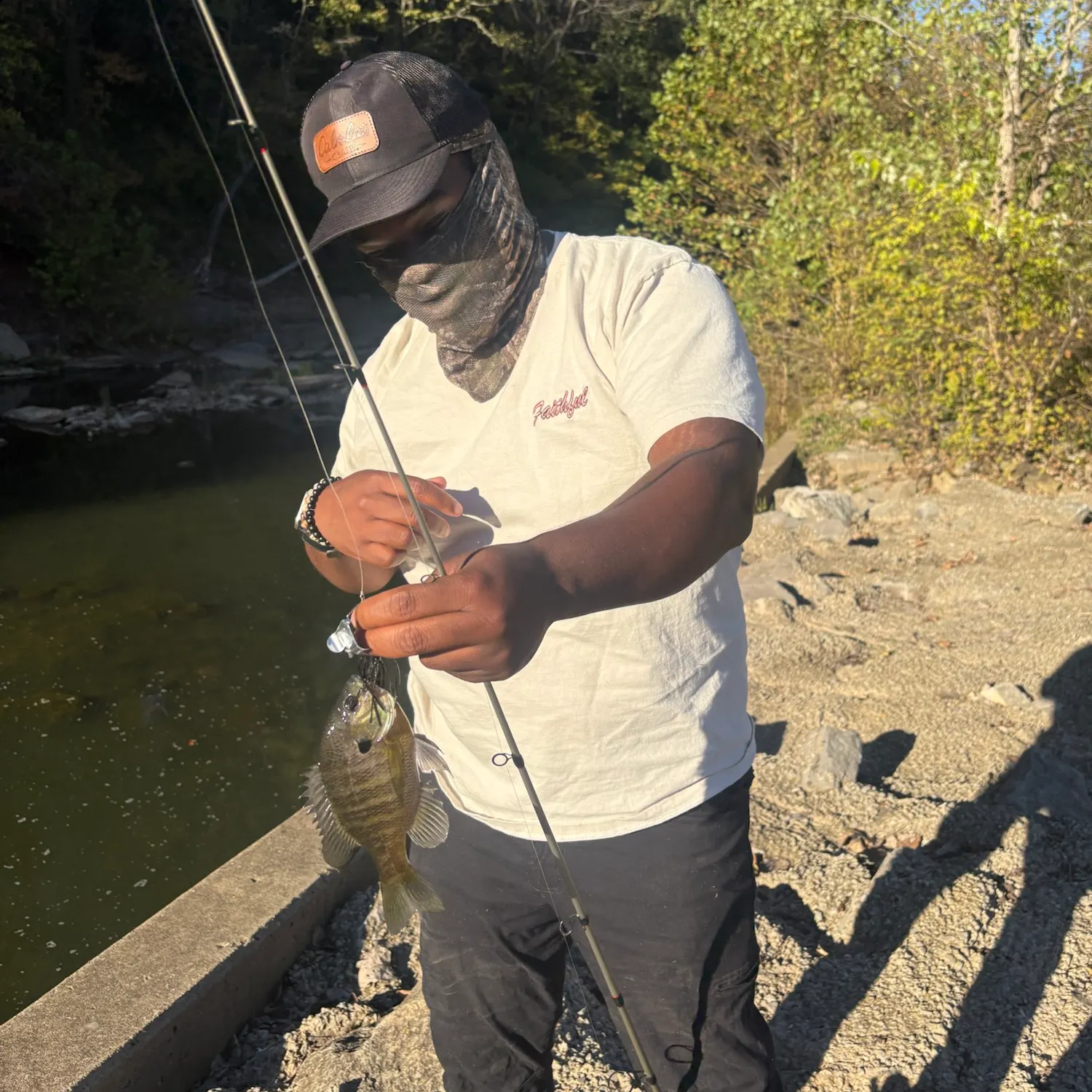 Bluegill caught on Fishbrain