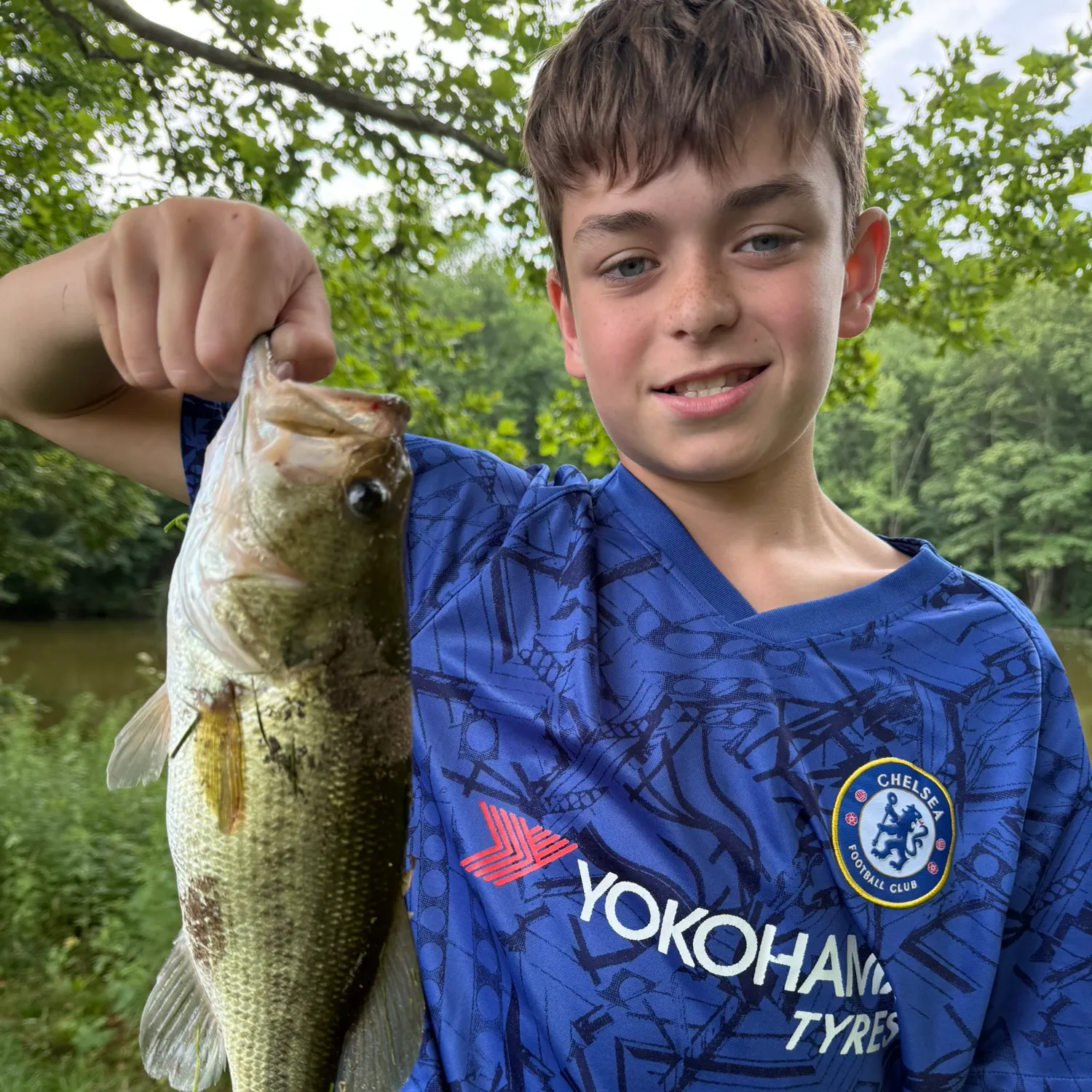 Largemouth bass caught on Fishbrain