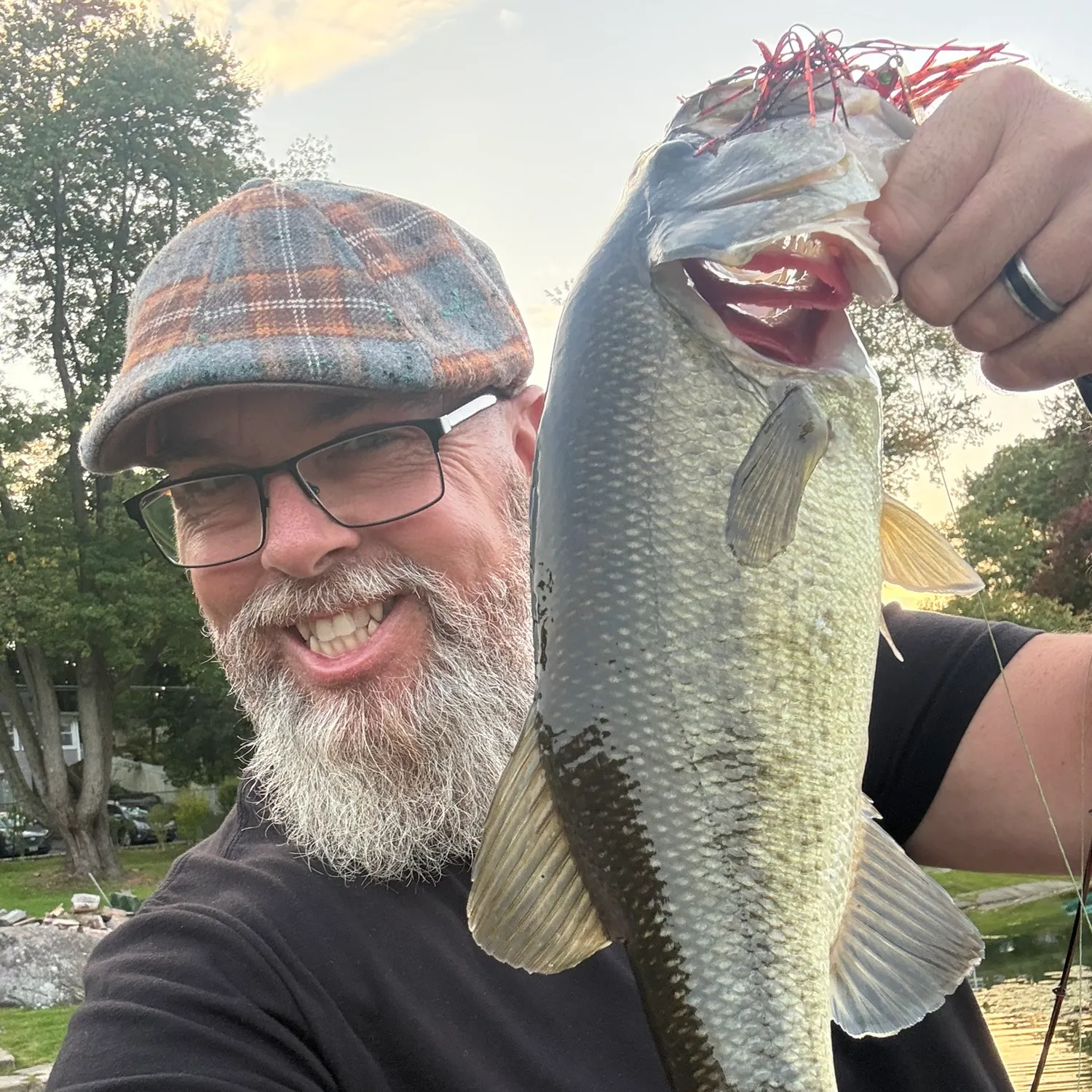 Largemouth bass caught on Fishbrain