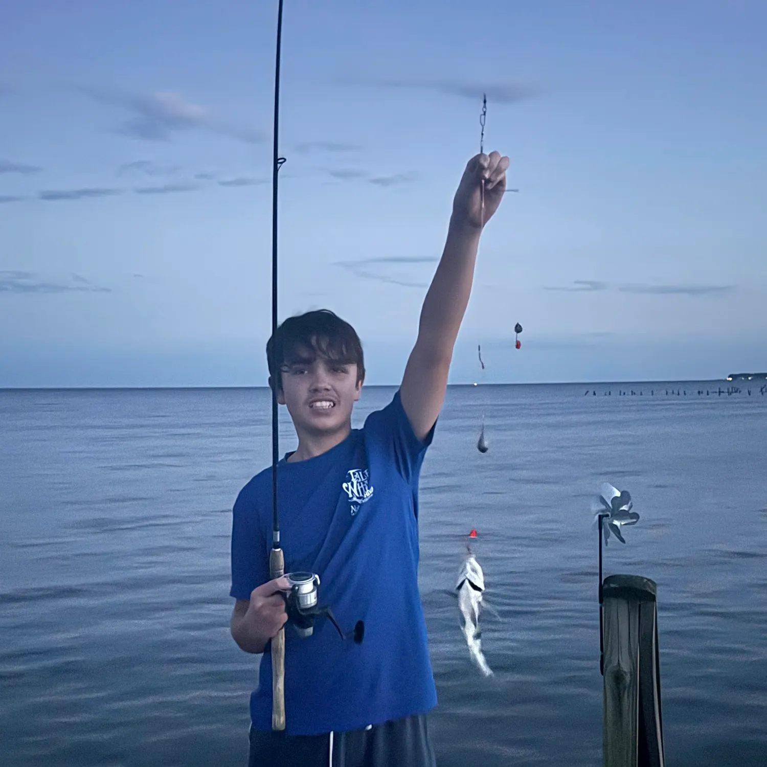 Black drum caught on Fishbrain