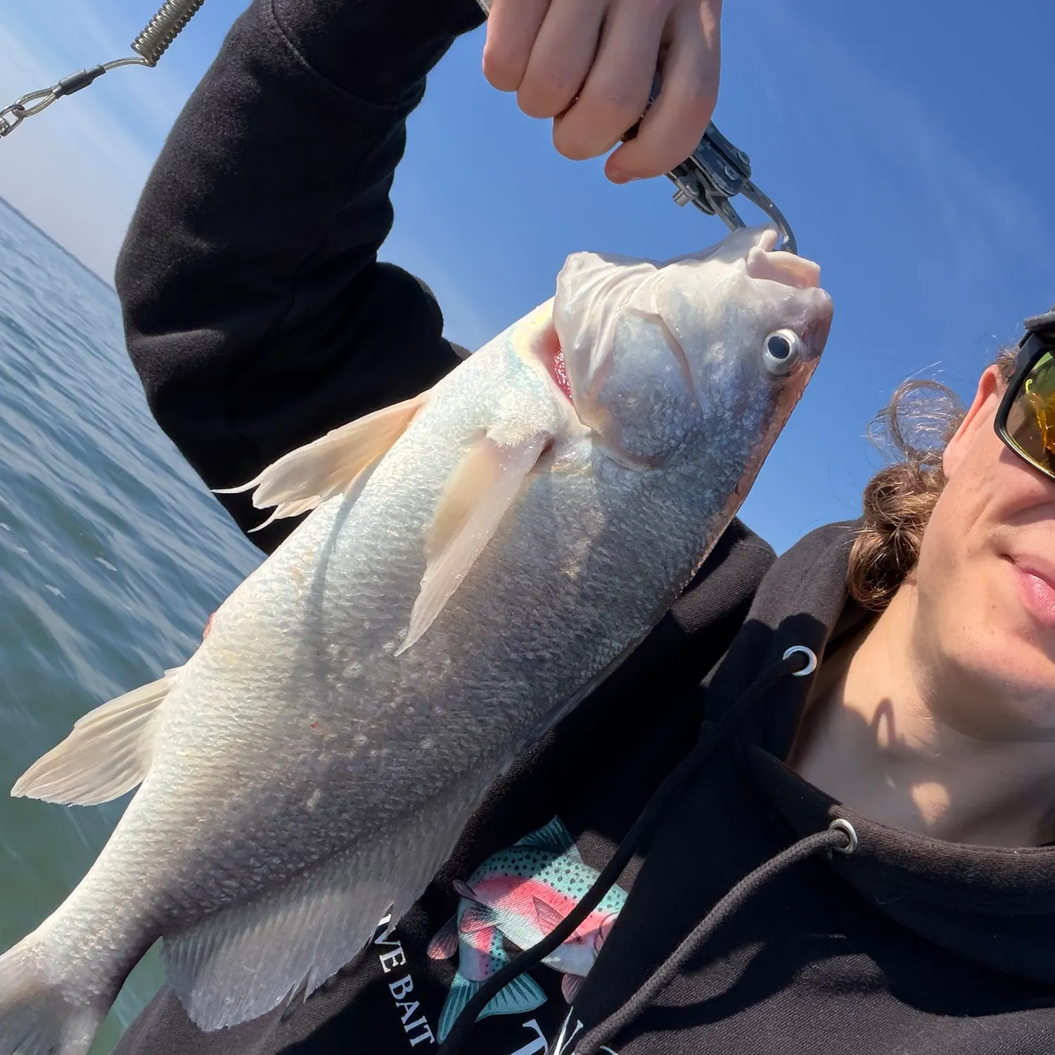 Freshwater drum caught on Fishbrain