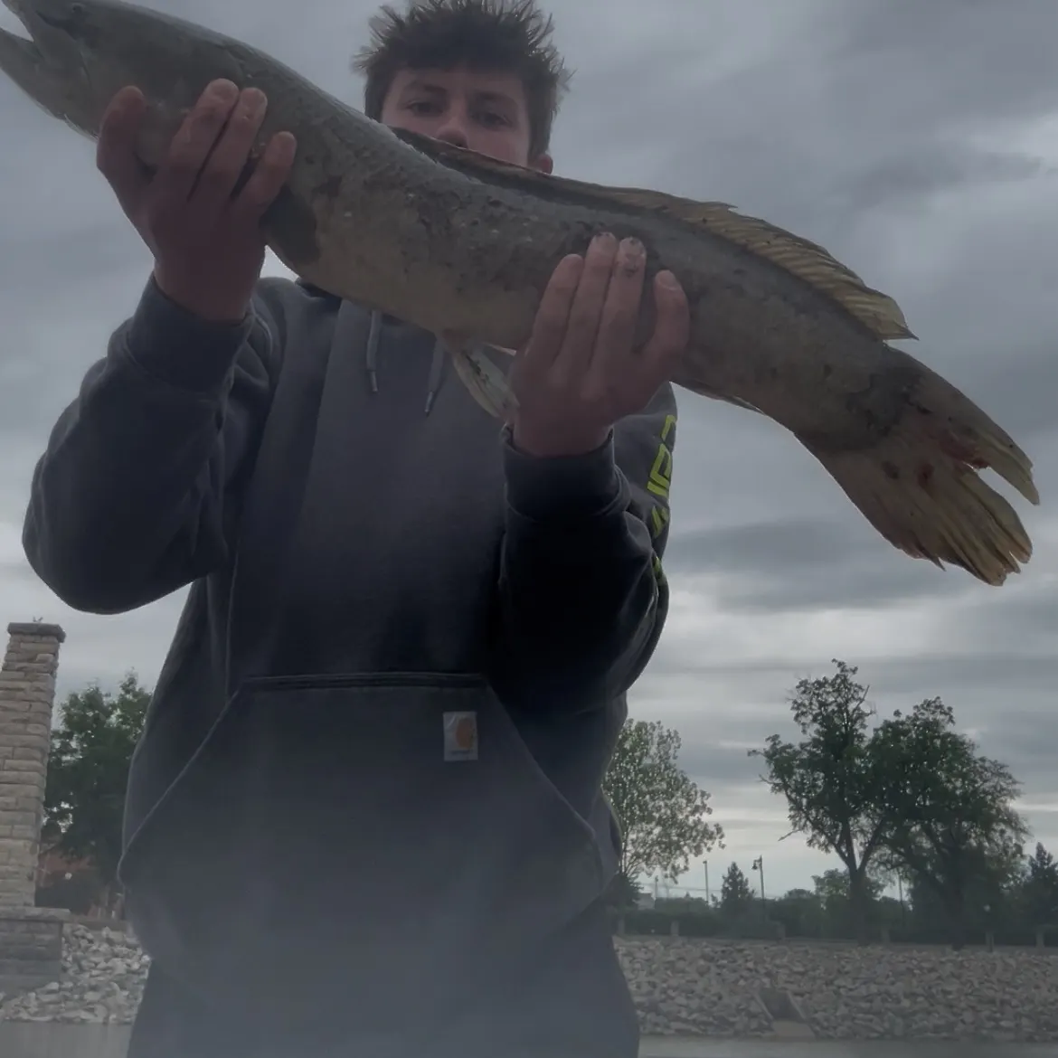 The most recent Eyetail bowfin catches on Fishbrain