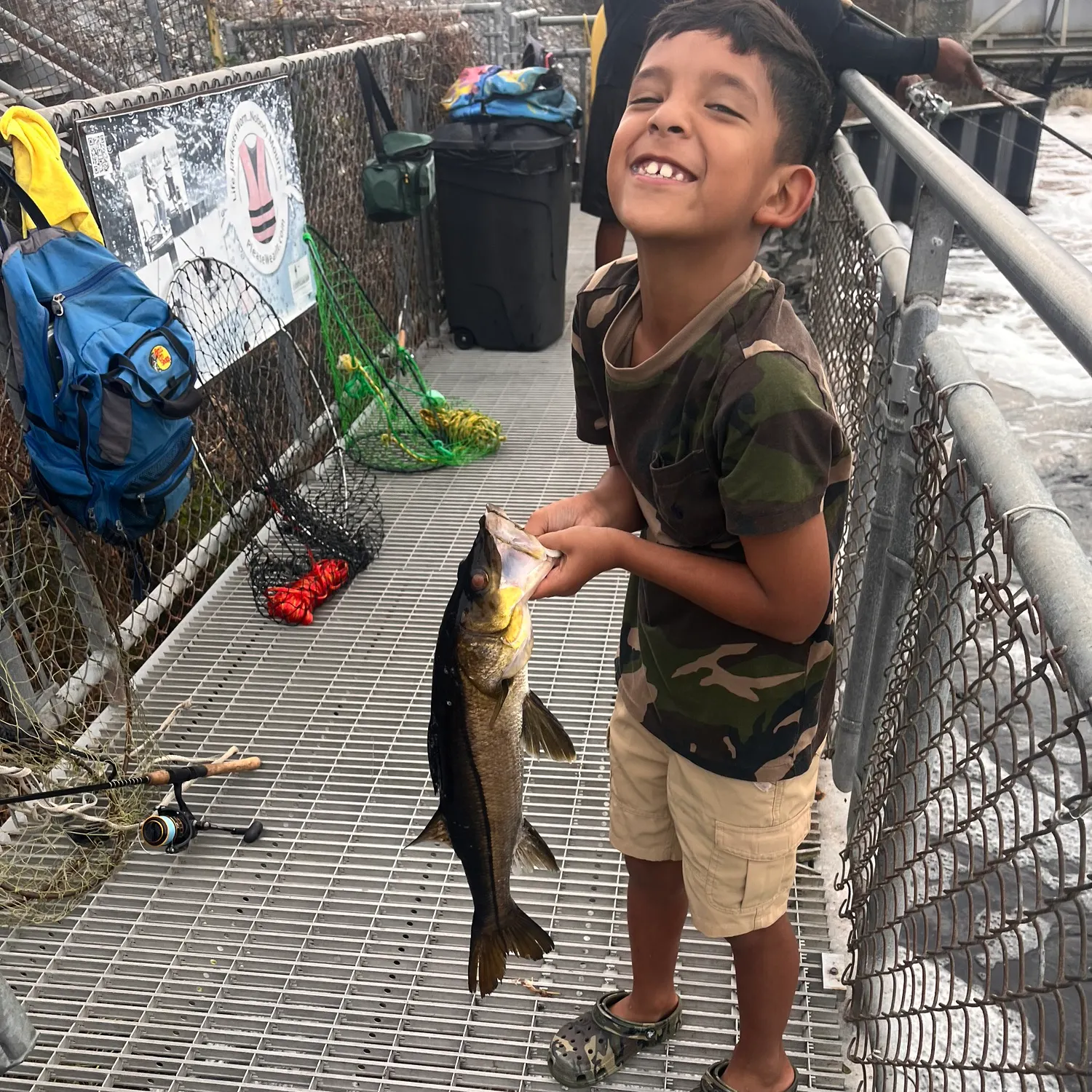 Fat snook caught on Fishbrain