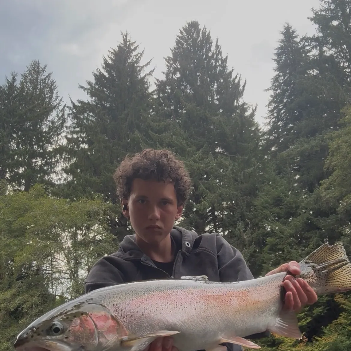 Steelhead caught on Fishbrain