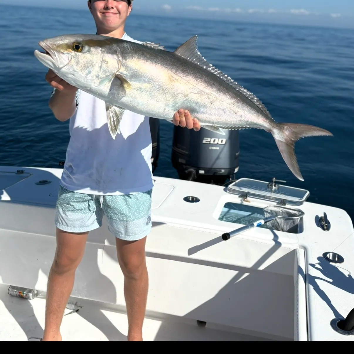 The most recent Greater amberjack catches on Fishbrain
