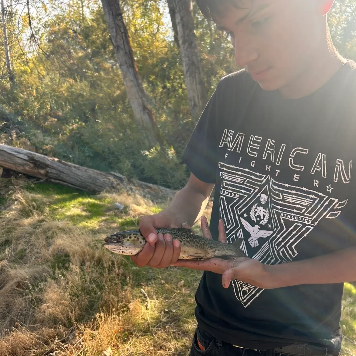 The most recent Lake trout catches on Fishbrain