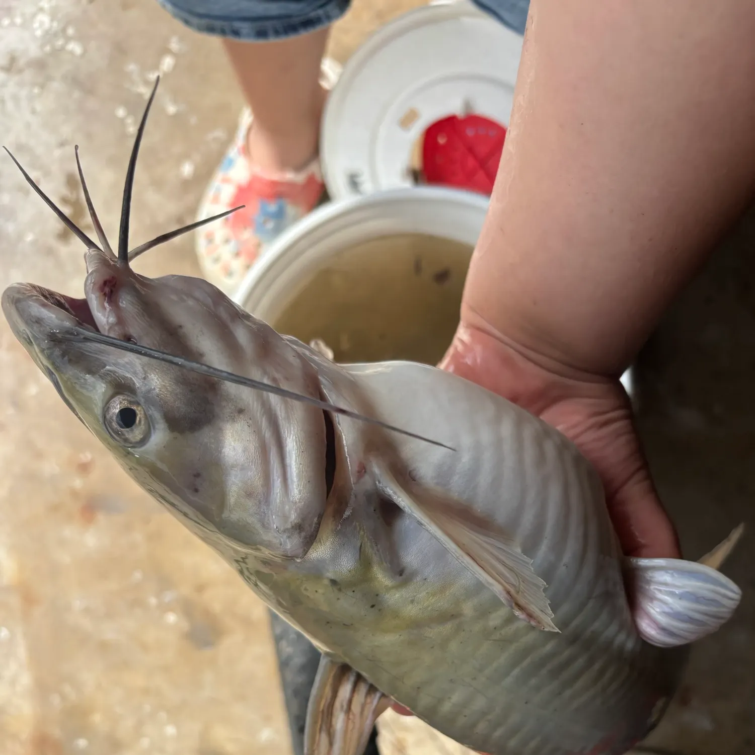 catch