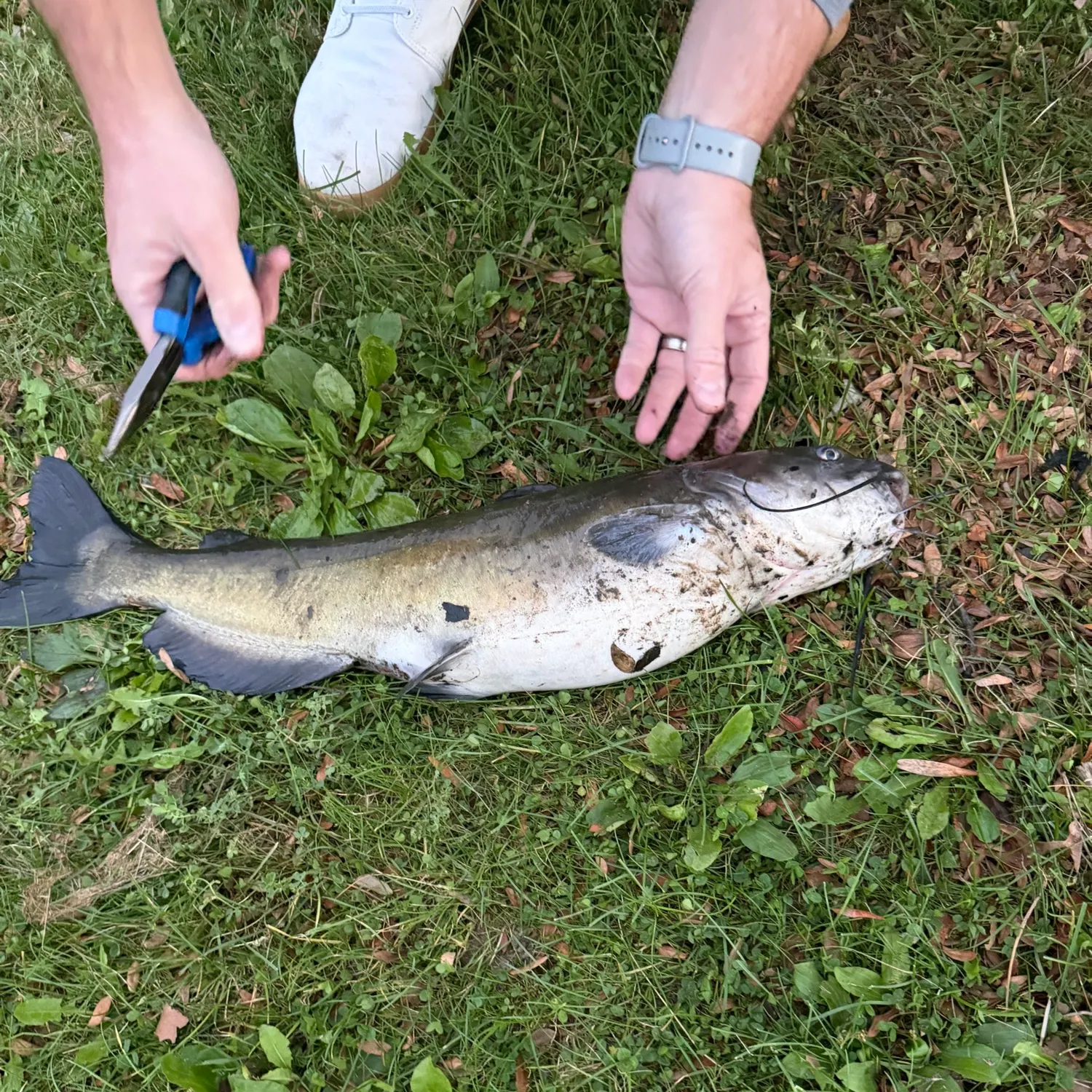 catch