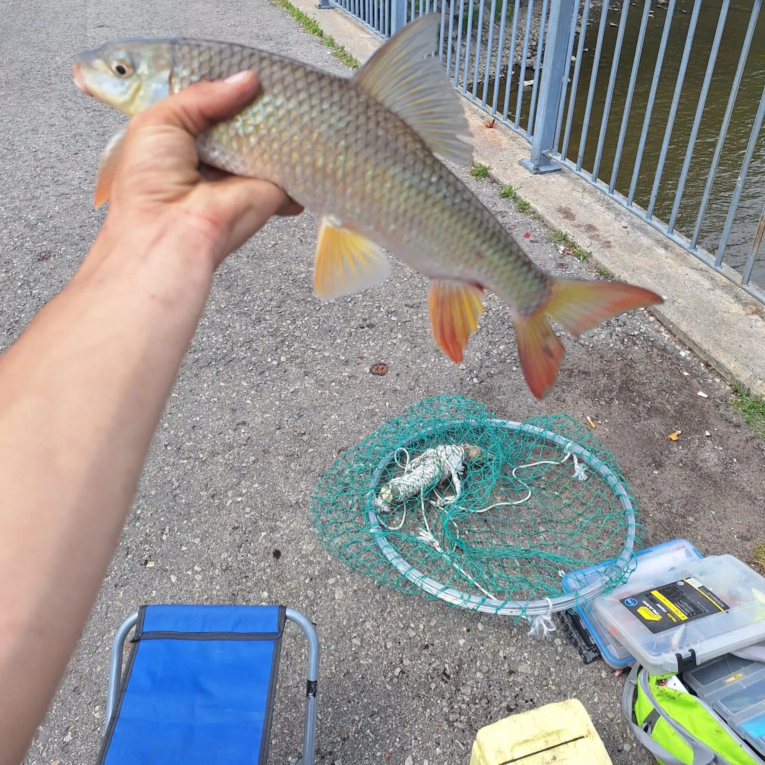 catch