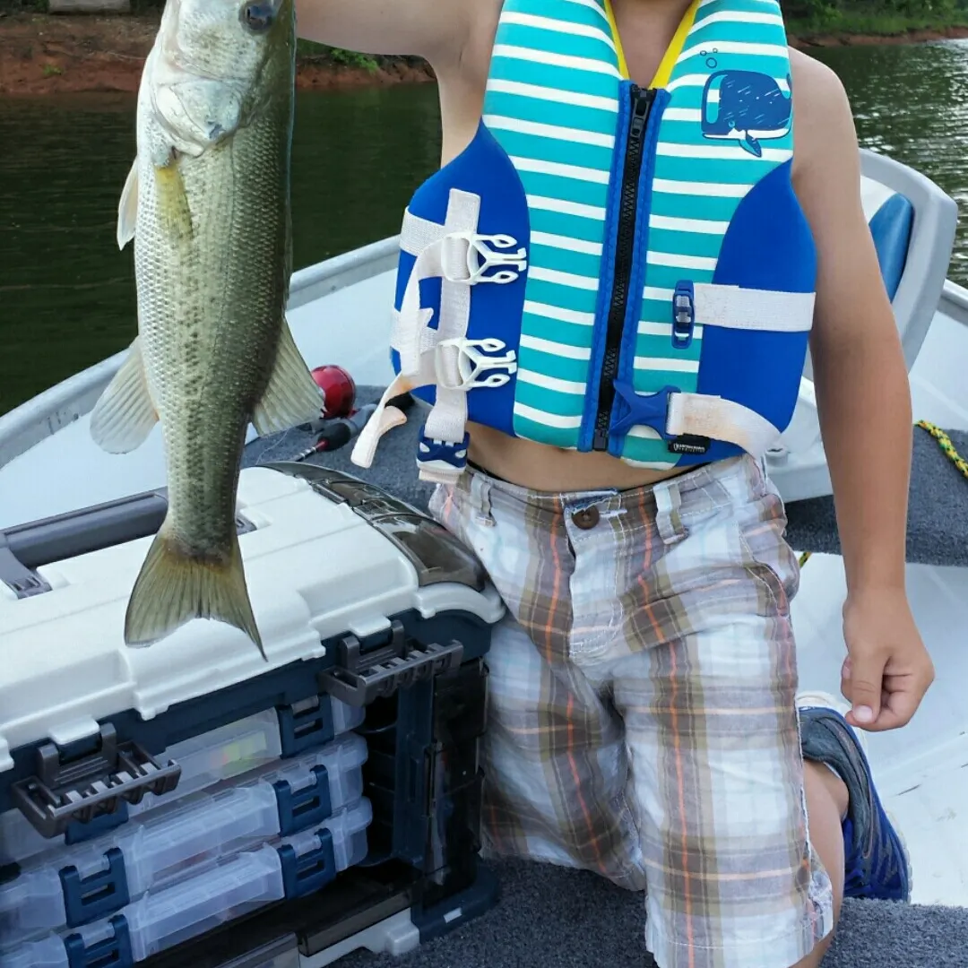 angler catch