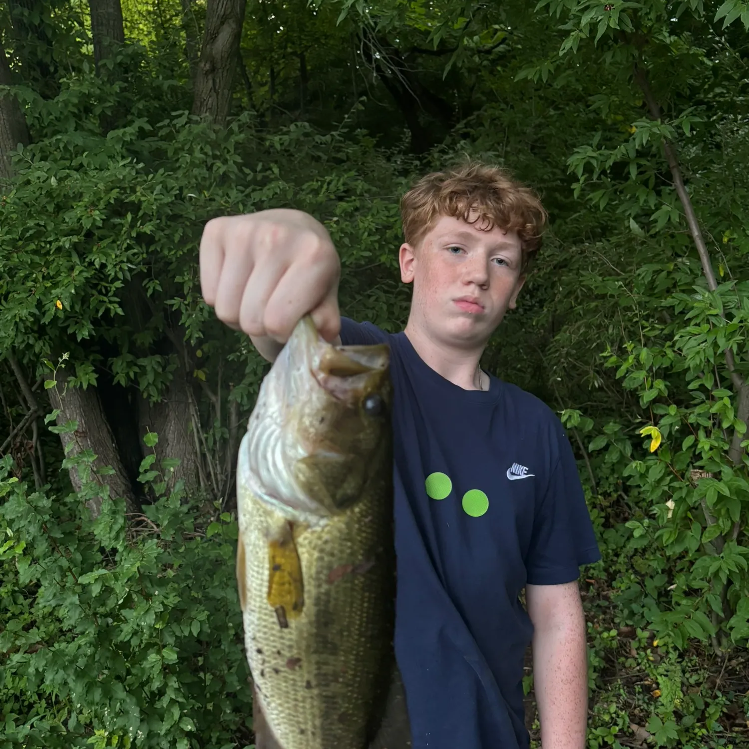 Largemouth bass caught on Fishbrain
