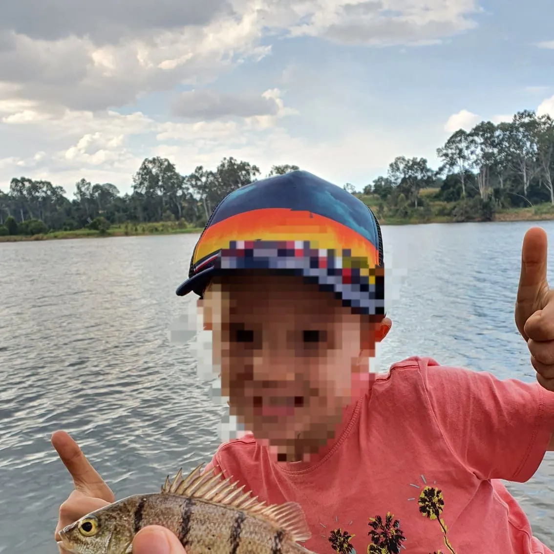 The most recent Barcoo grunter catches on Fishbrain