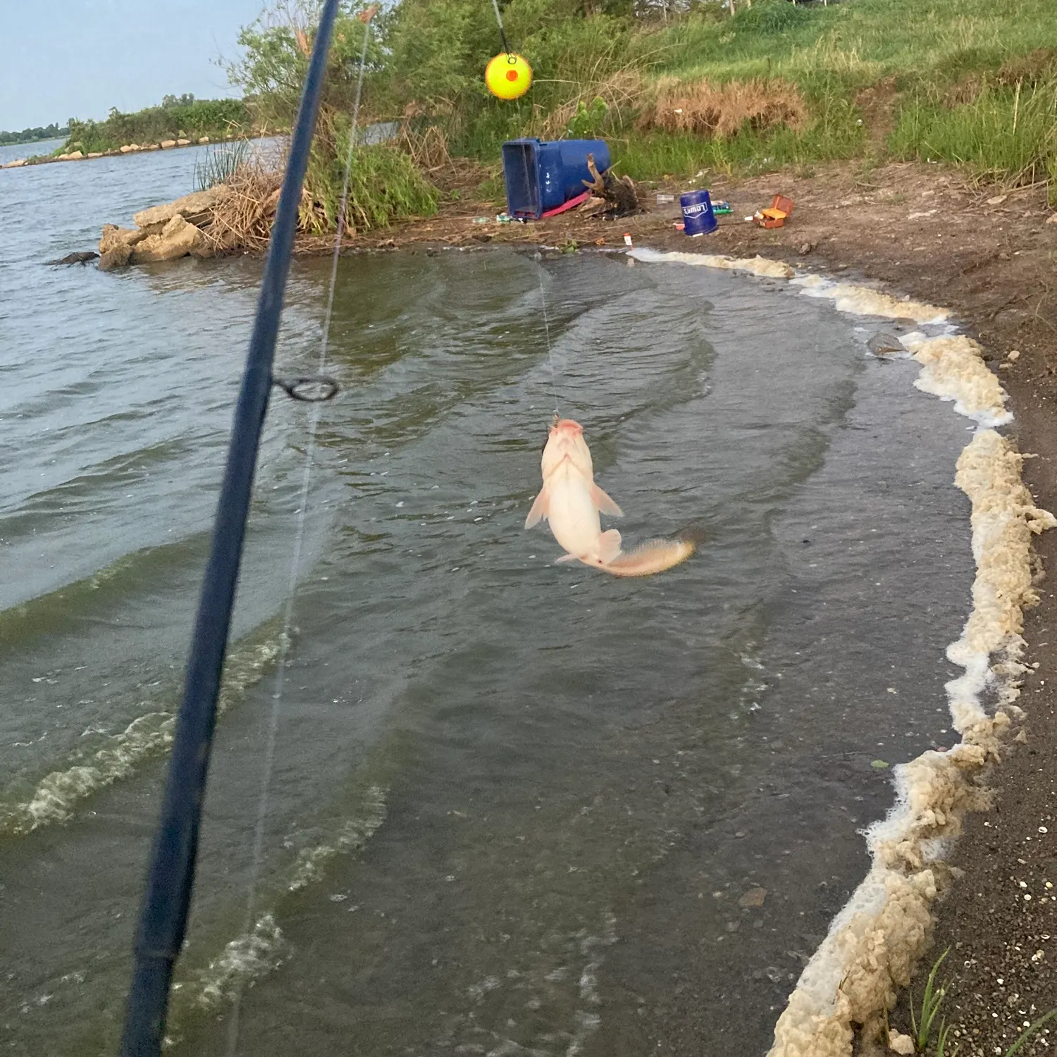 catch