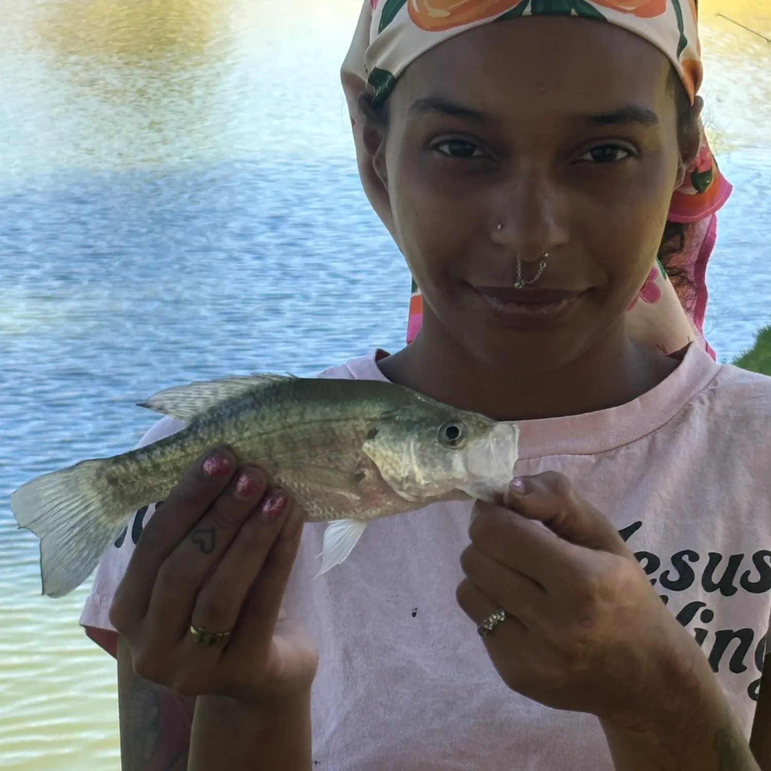 White crappie caught on Fishbrain